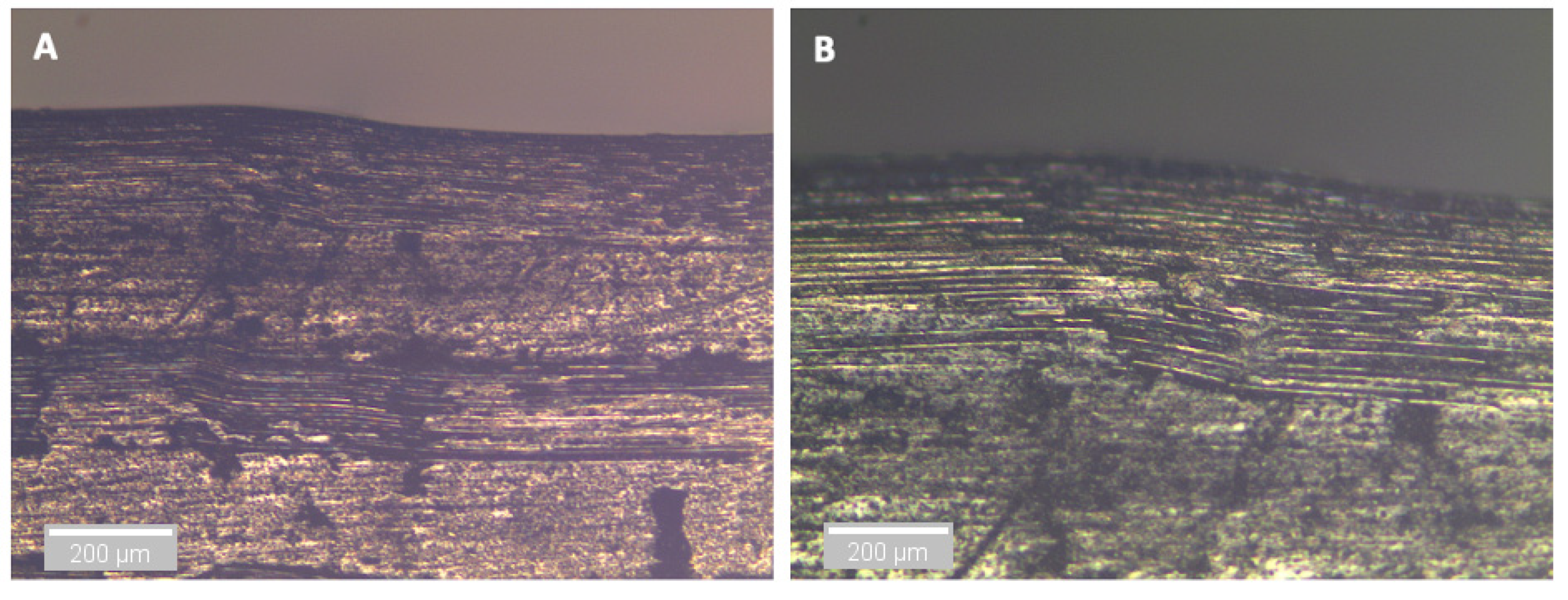 Sensors 21 04351 g014 550