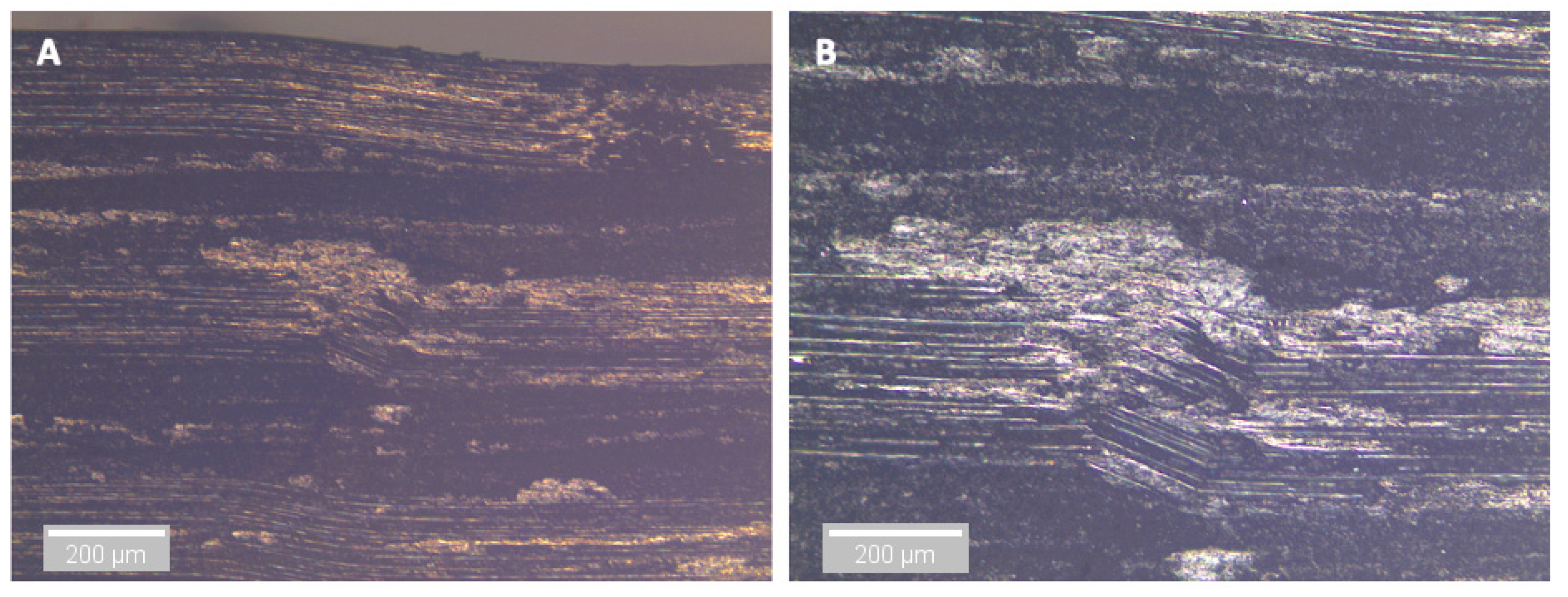 Sensors 21 04351 g015 550