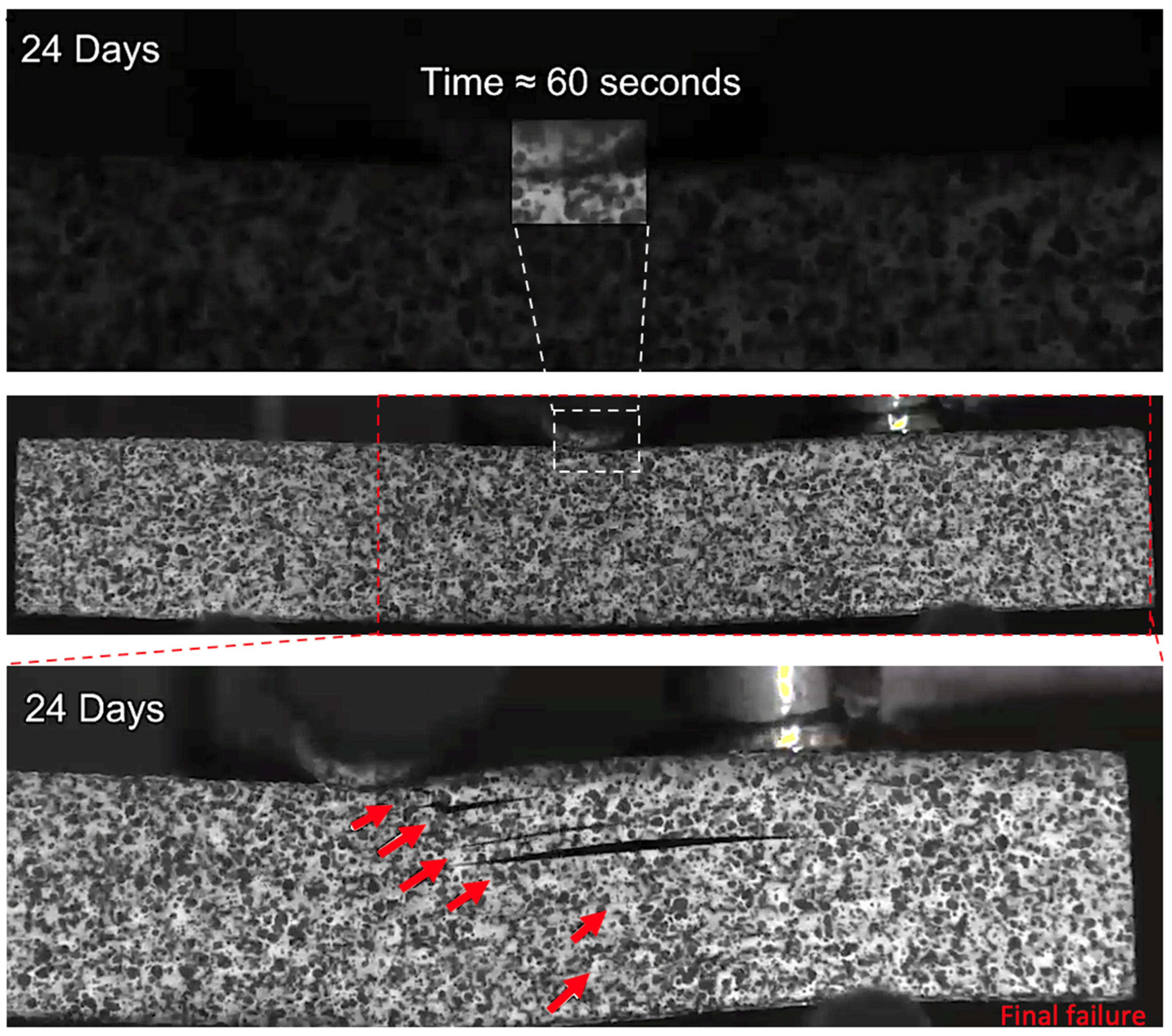 Sensors 21 04351 g016 550