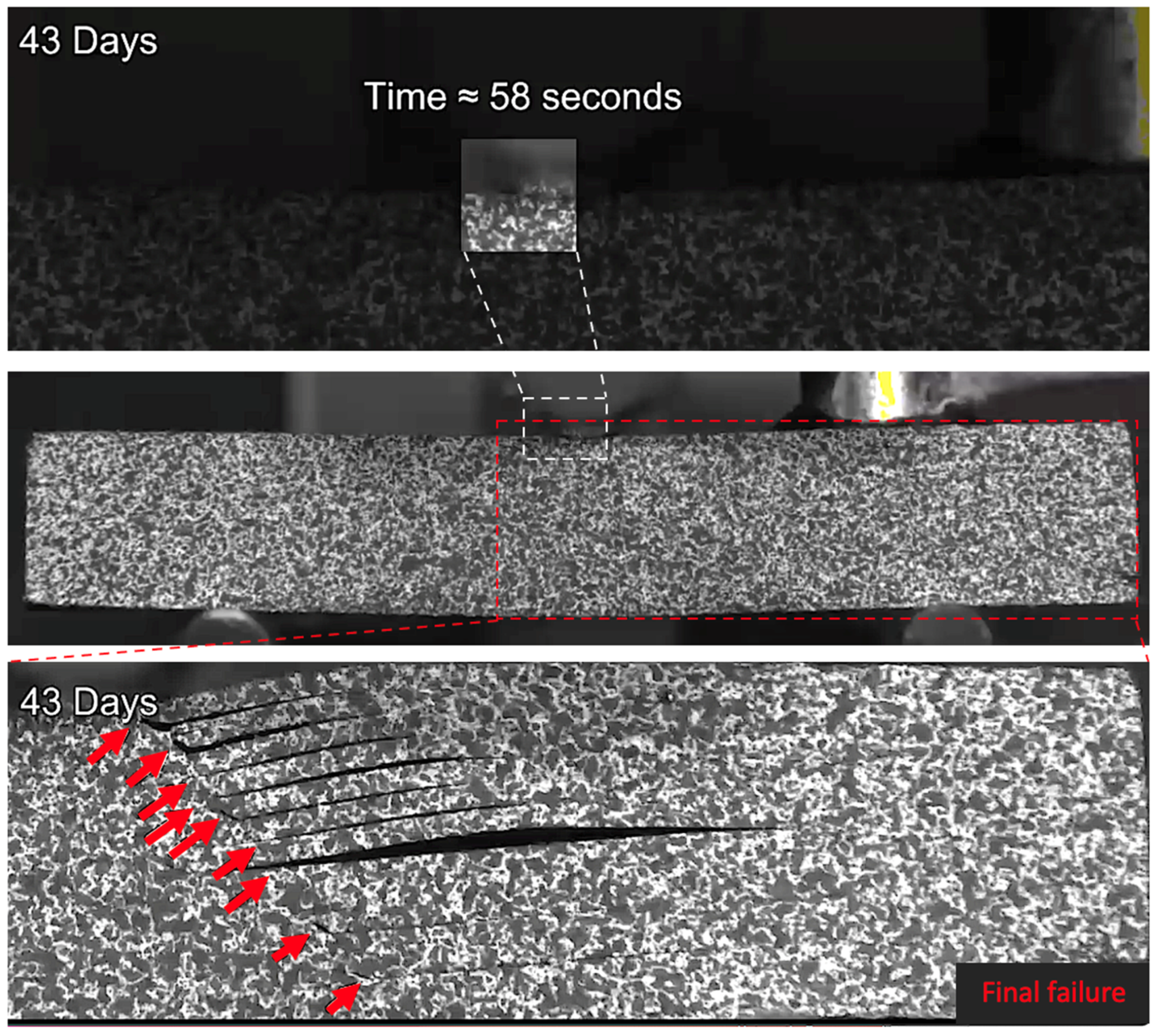 Sensors 21 04351 g017 550