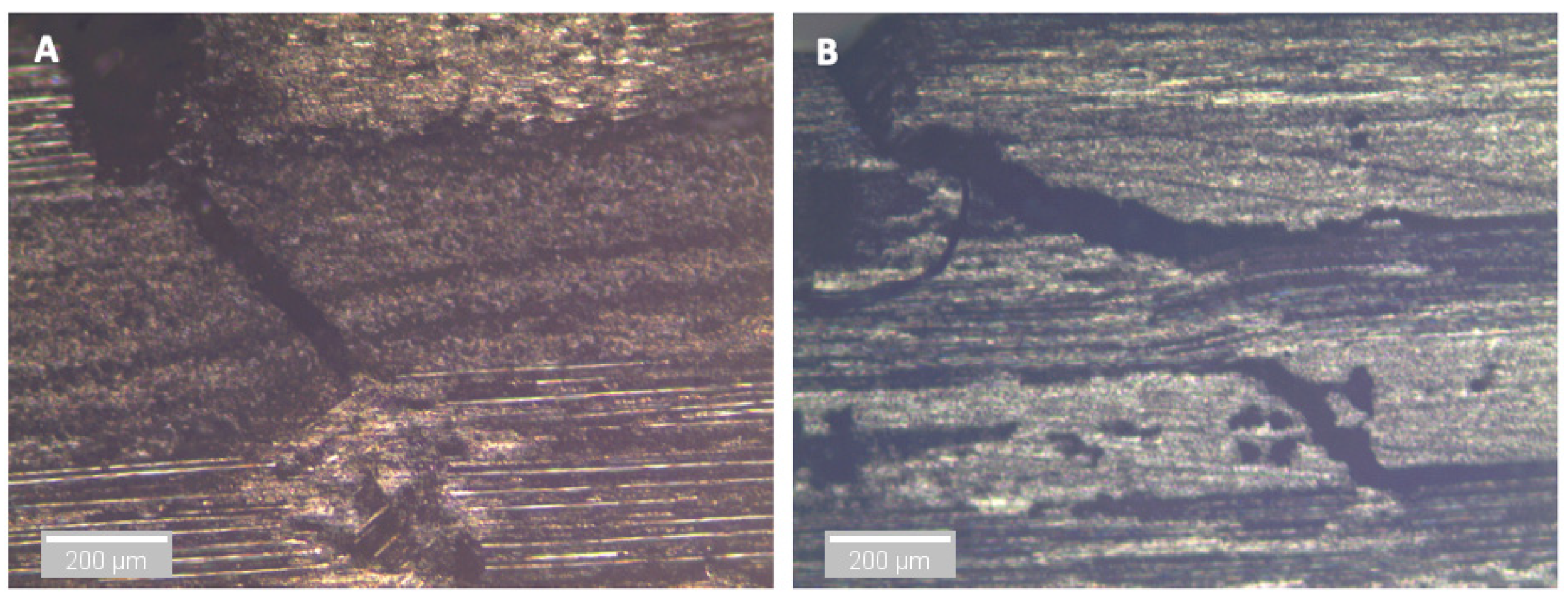 Sensors 21 04351 g018 550