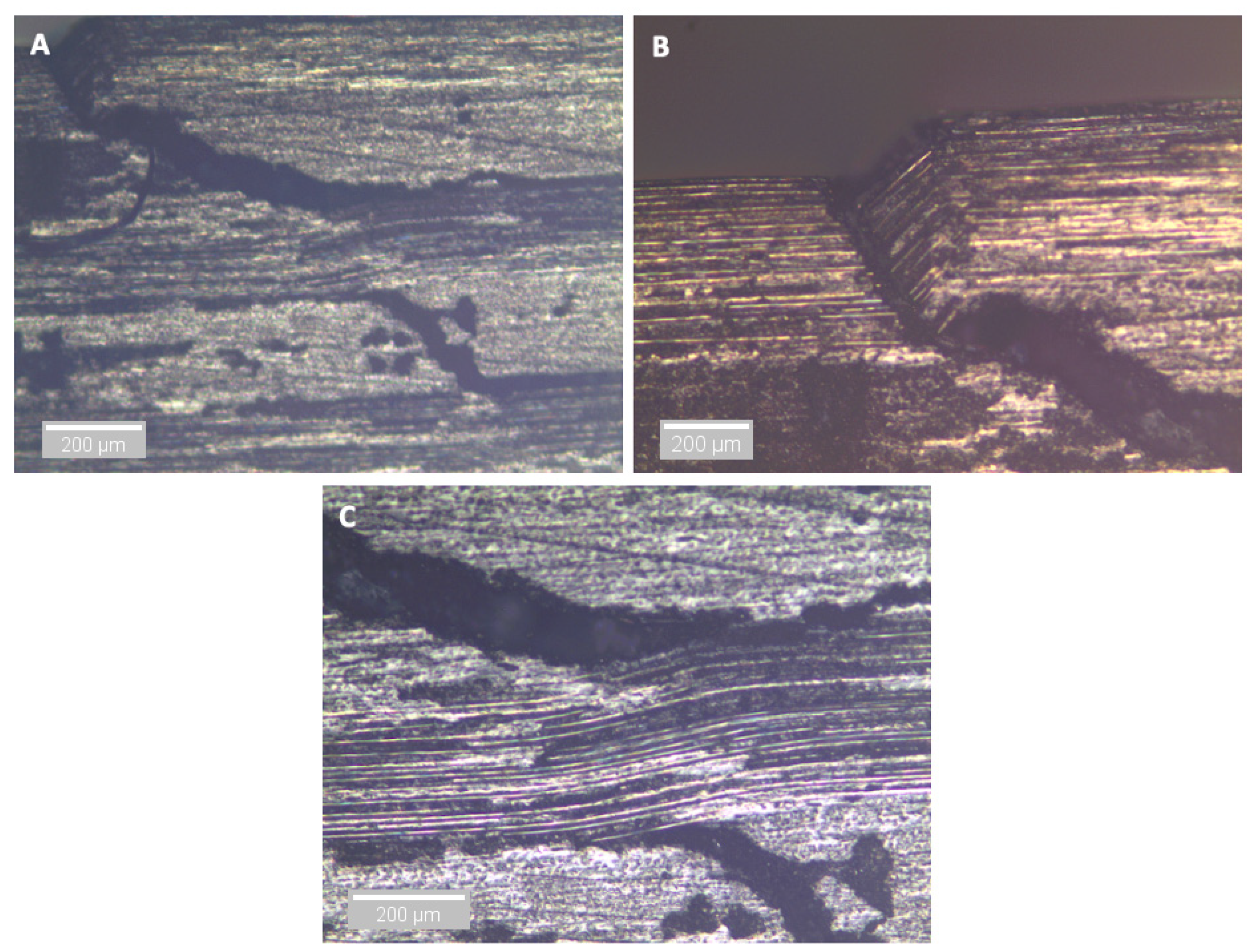 Sensors 21 04351 g019 550