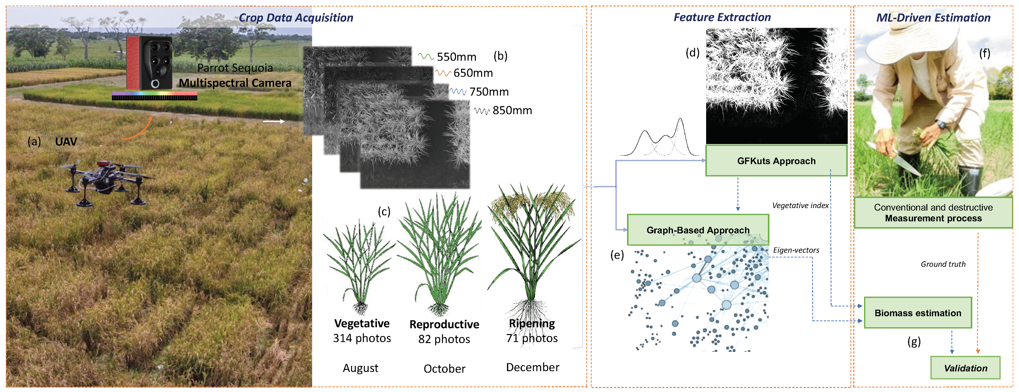 Sensors 21 04369 g001 550
