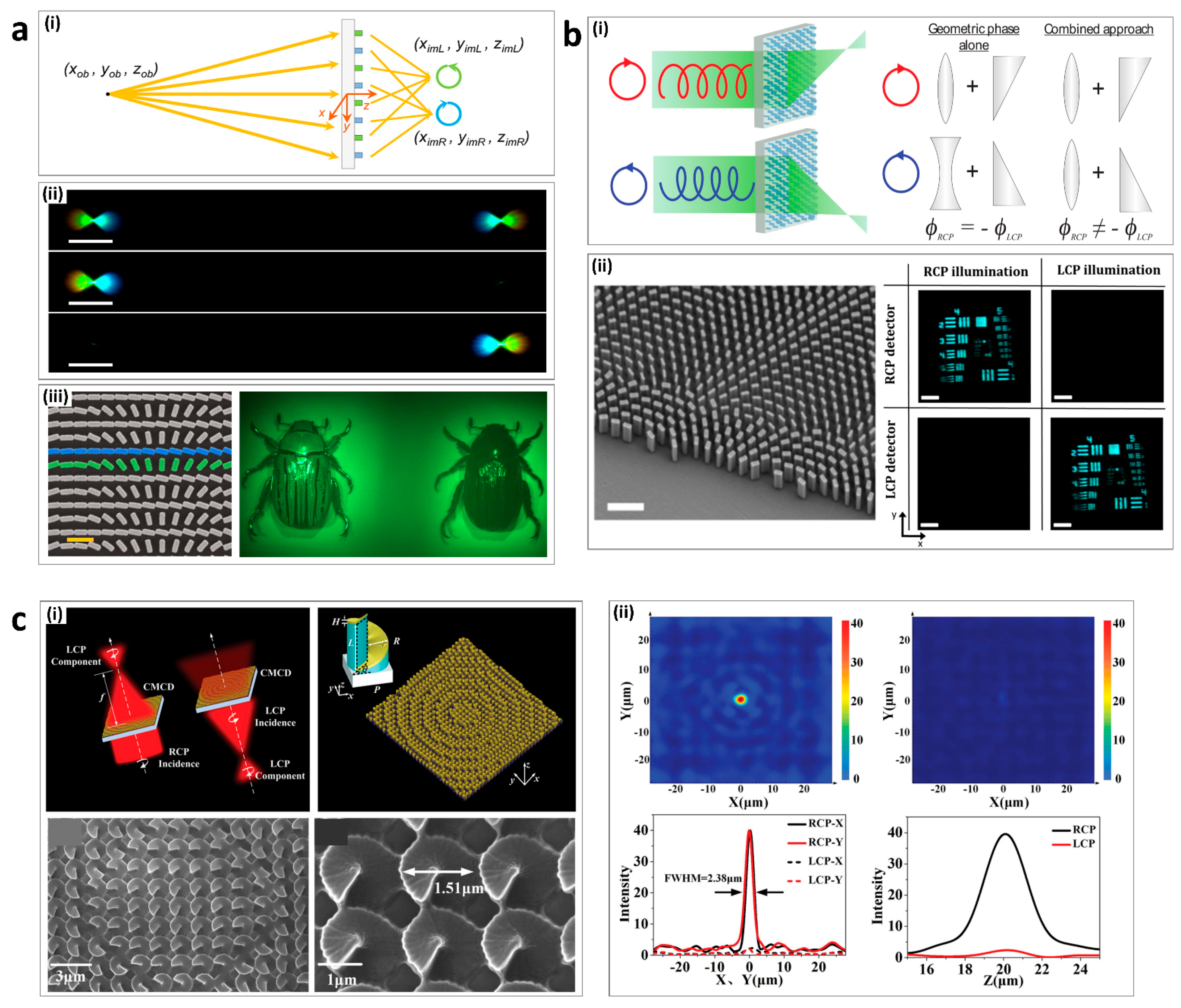 Sensors 21 04381 g005
