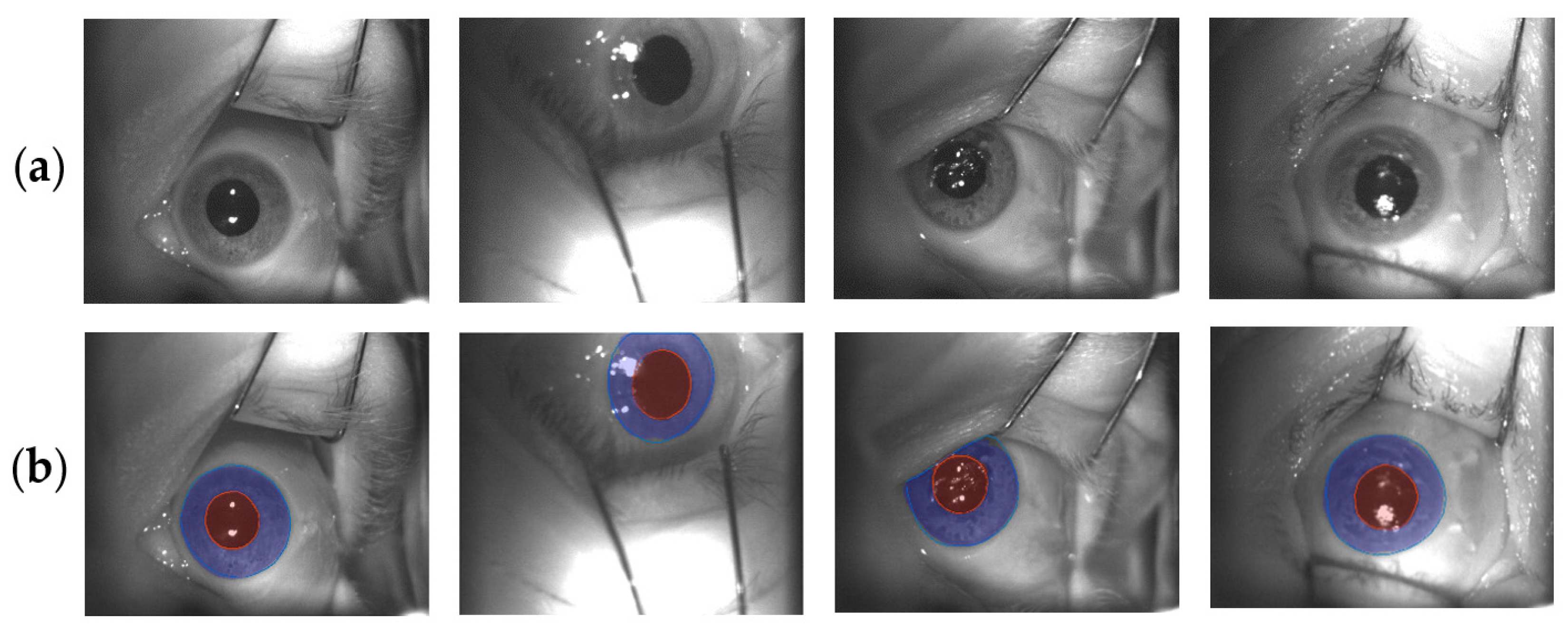 Sensors 21 04400 g007