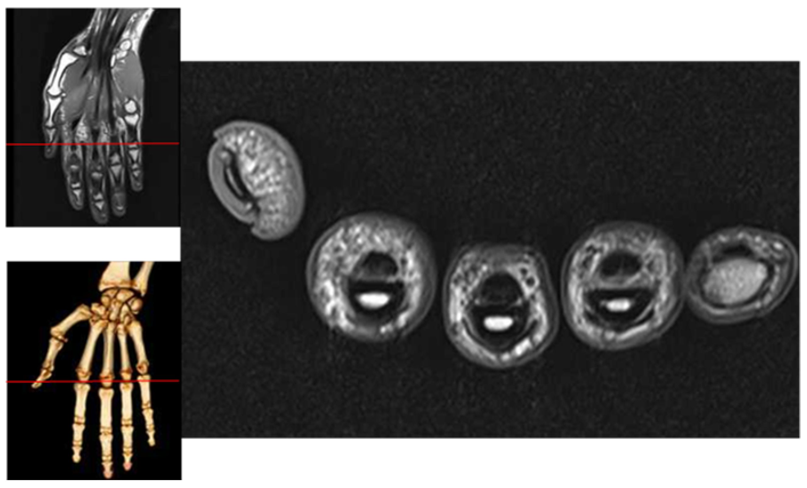 Sensors 21 04402 g003 550