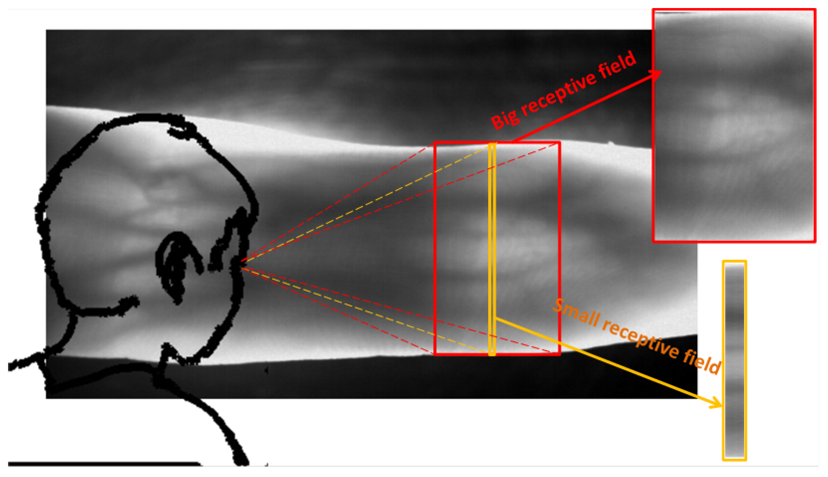 Sensors 21 04402 g005 550