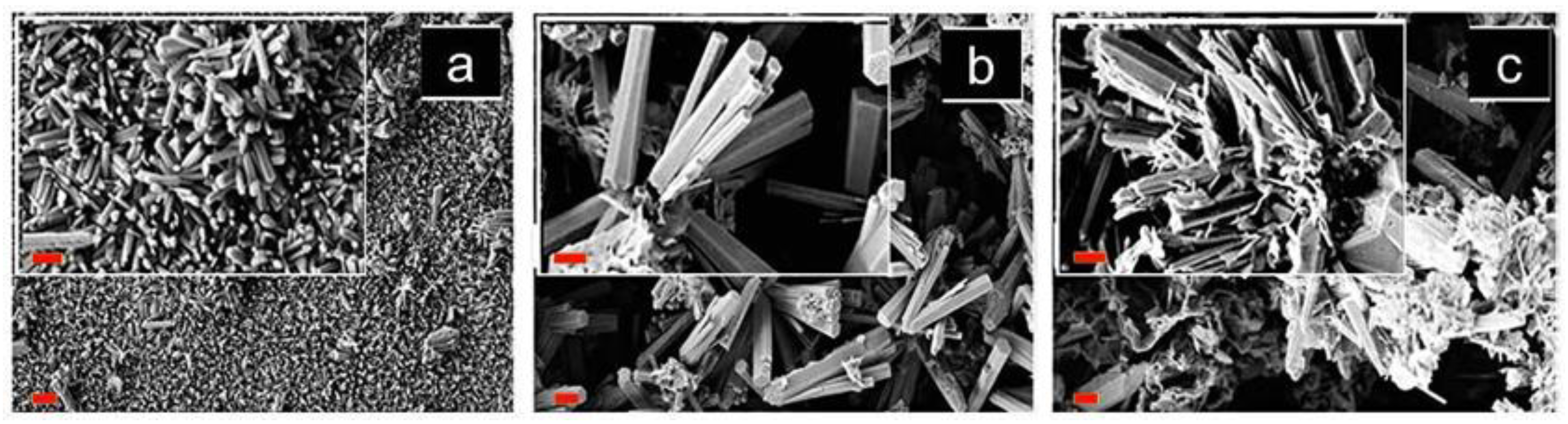 Sensors 21 04425 g002