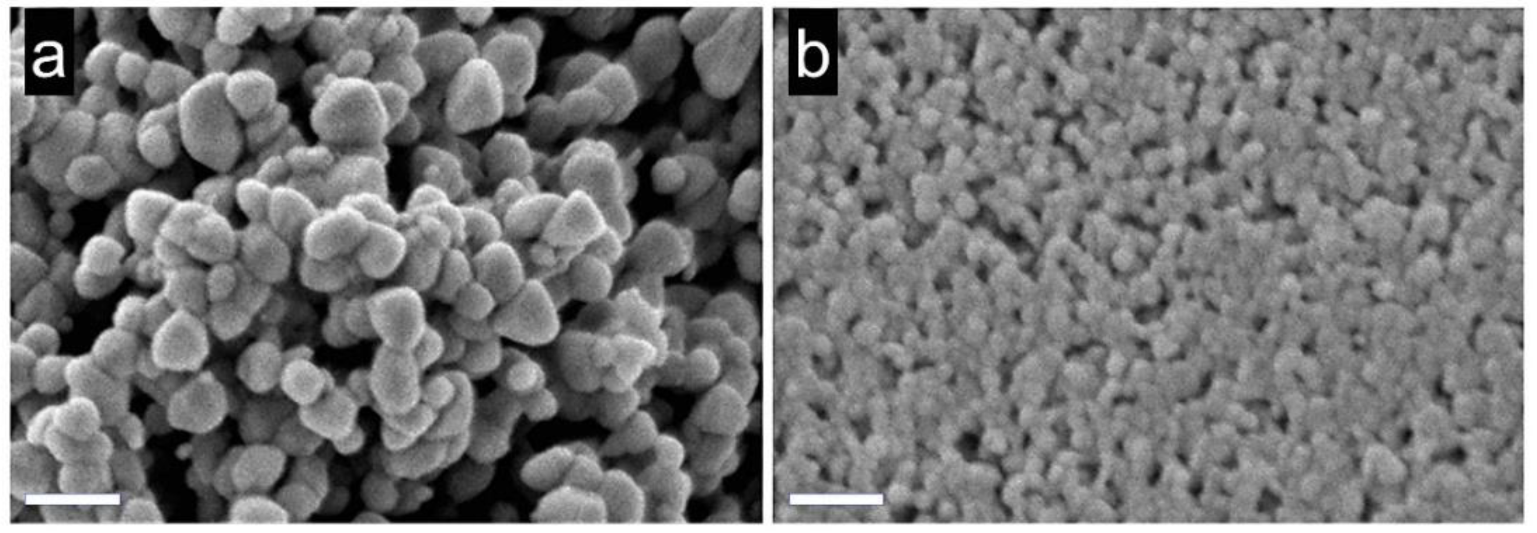 Sensors 21 04425 g010