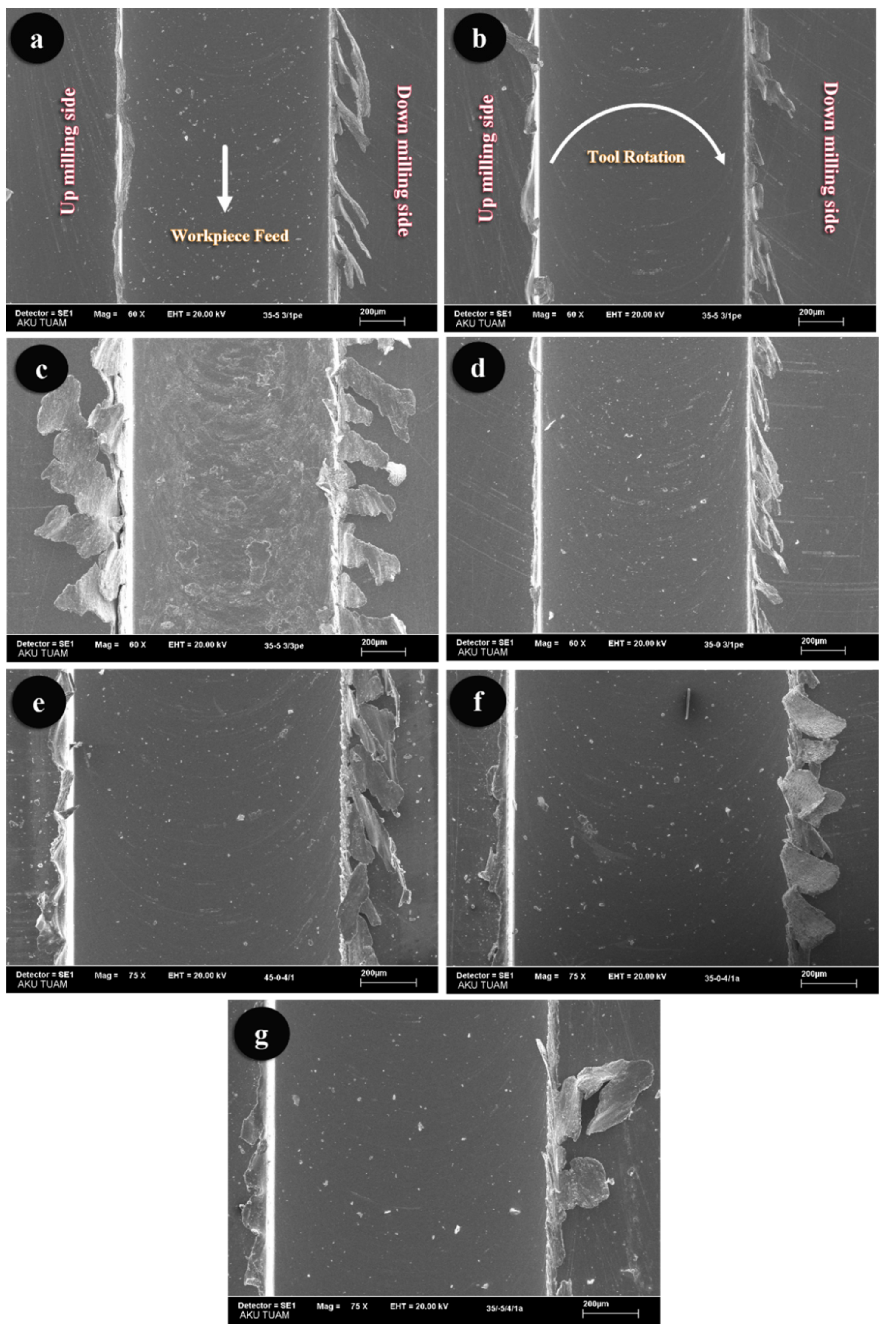 Sensors 21 04432 g008