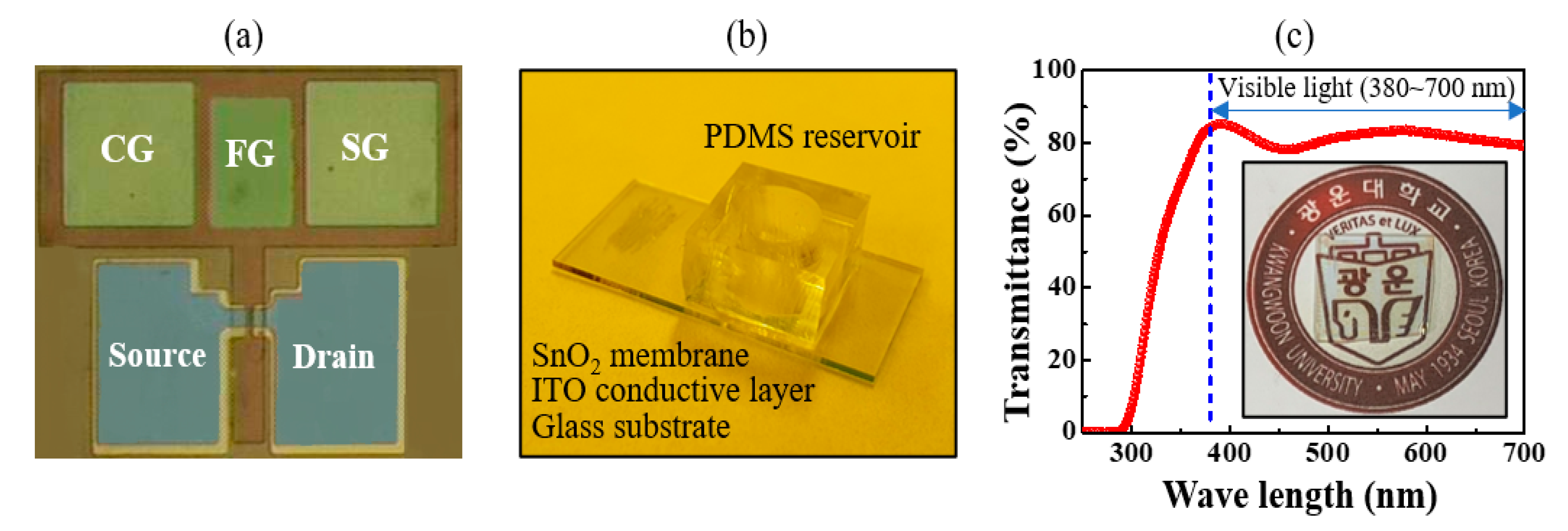 Sensors 21 04435 g002