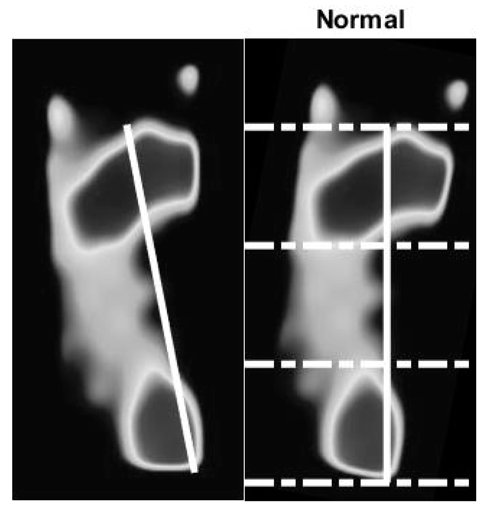 Sensors 21 04437 g010