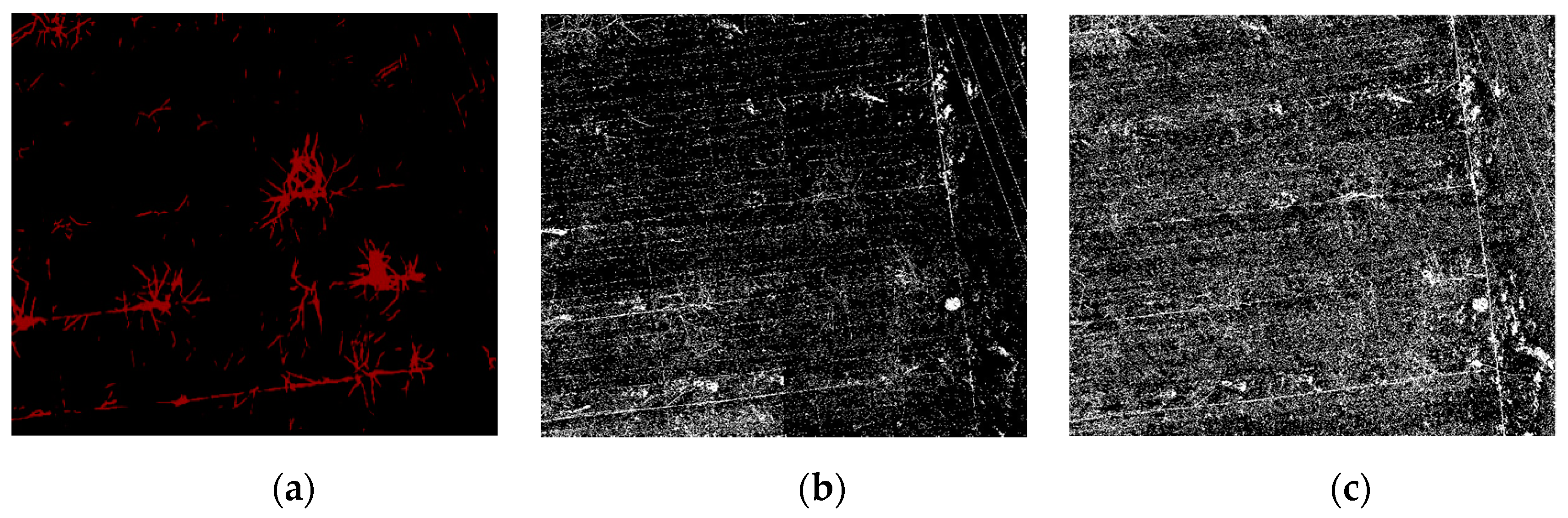 Sensors 21 04442 g006 550