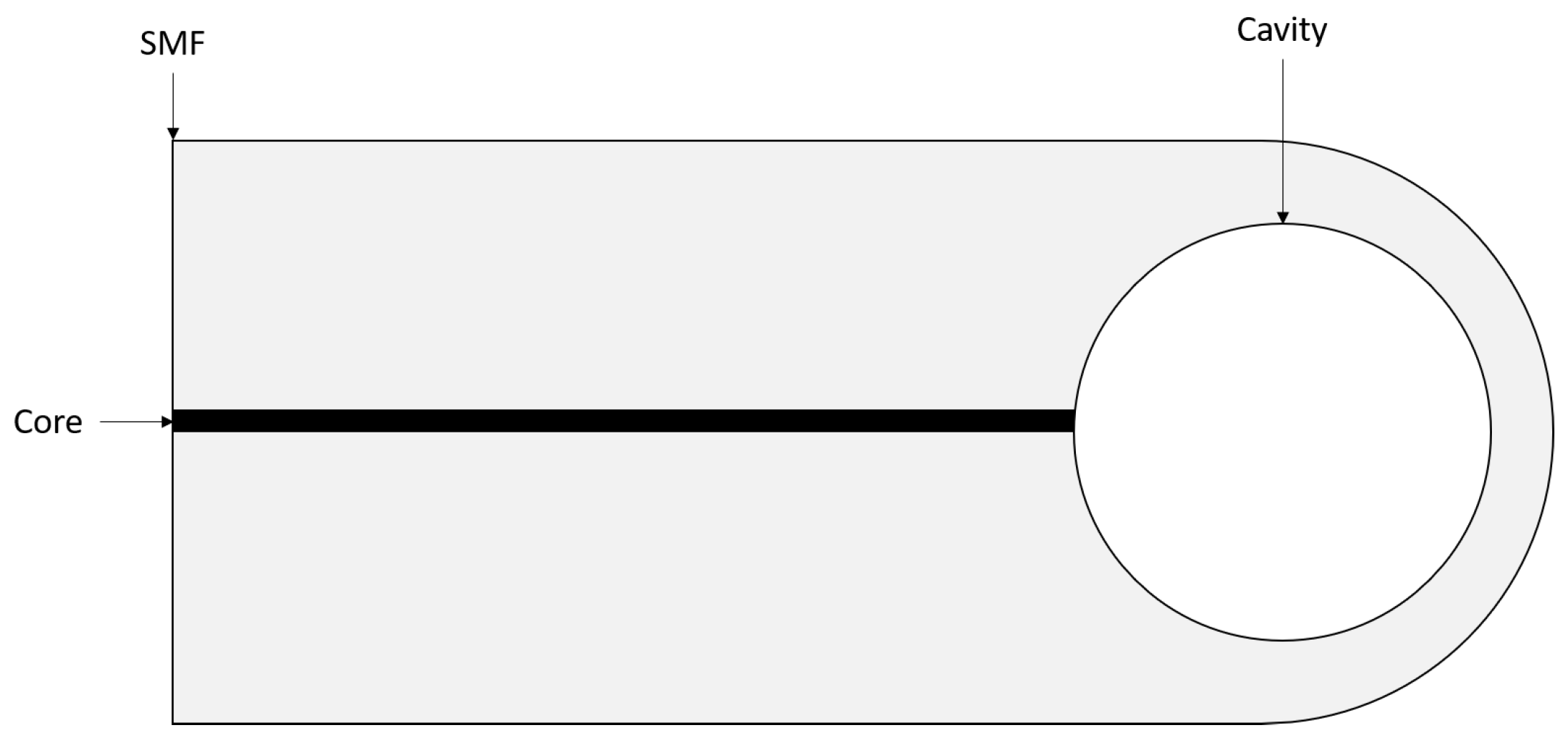 Sensors 21 04445 g003 Sensors 21 04445 g003