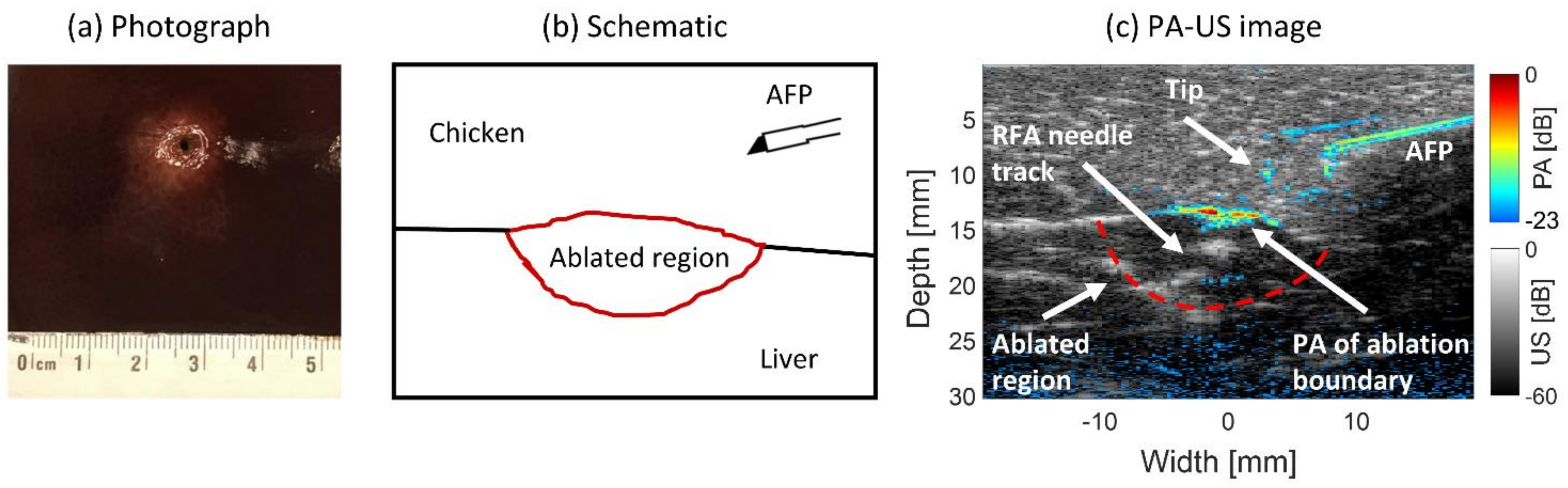 Sensors 21 04458 g008
