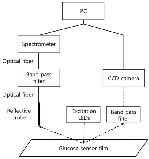 Optical Glucose Sensor Using Pressure Sensitive Paint