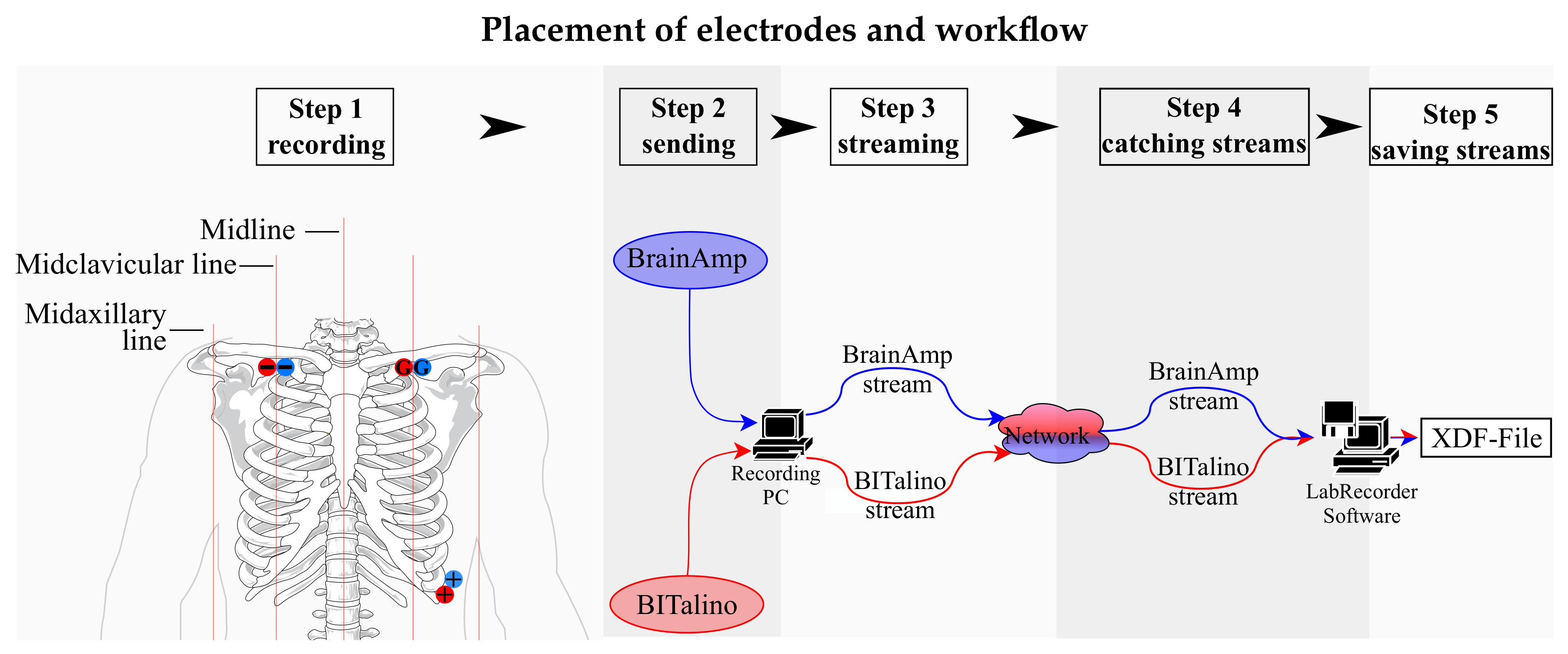Sensors 21 04485 g001 550