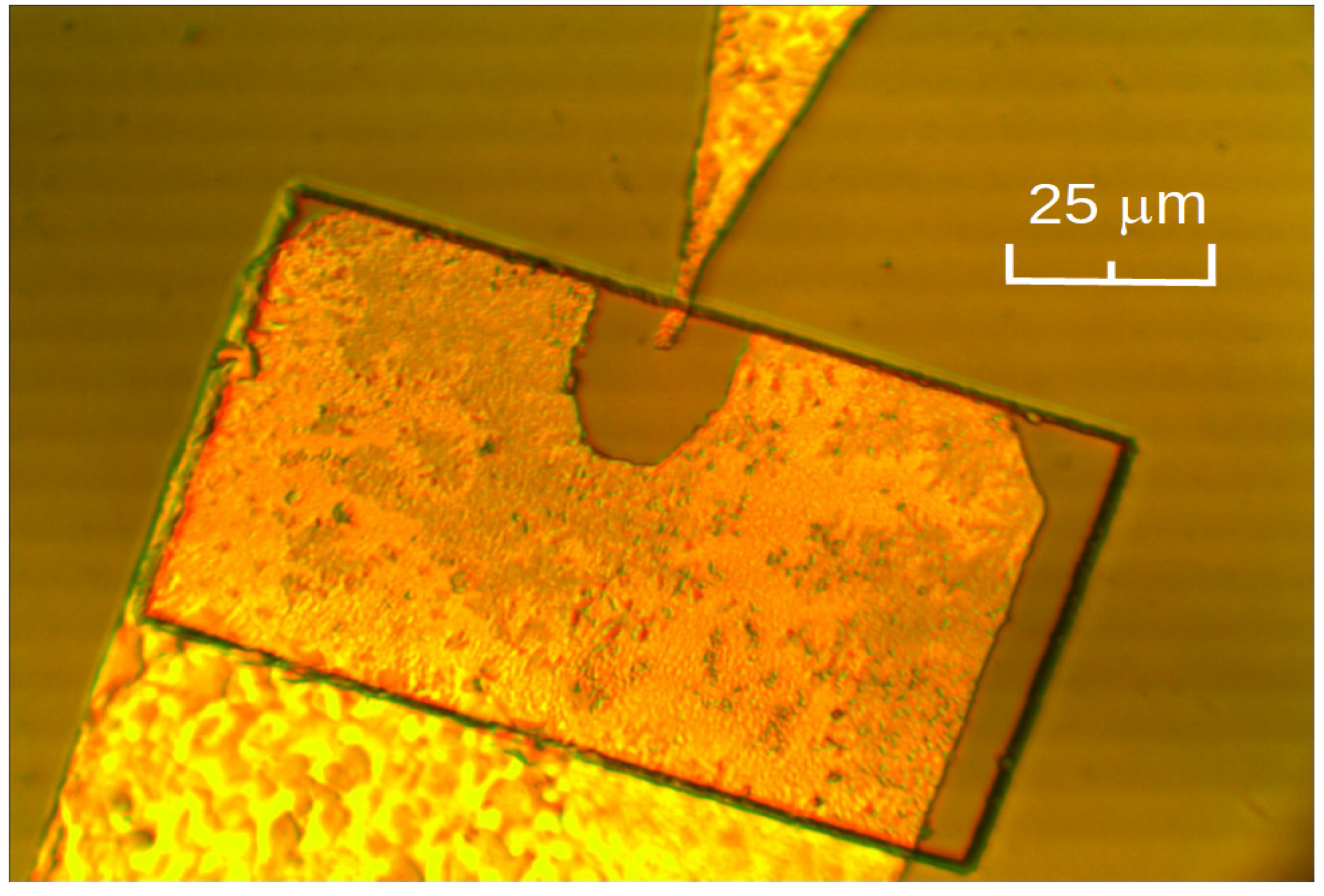 Sensors 21 04487 g002