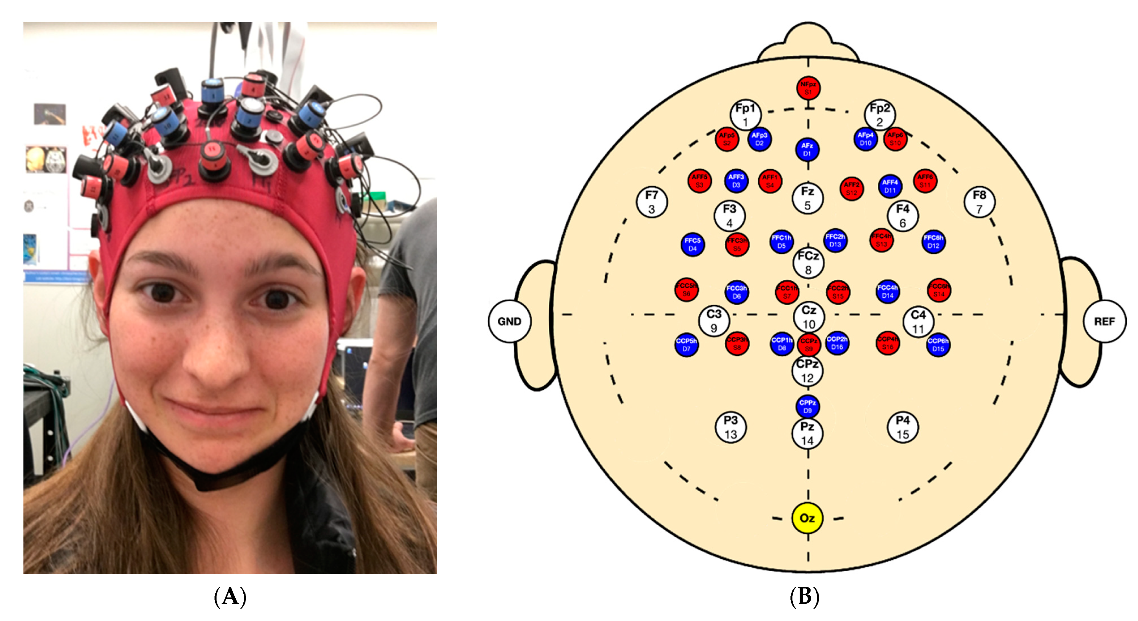 Sensors 21 04492 g001