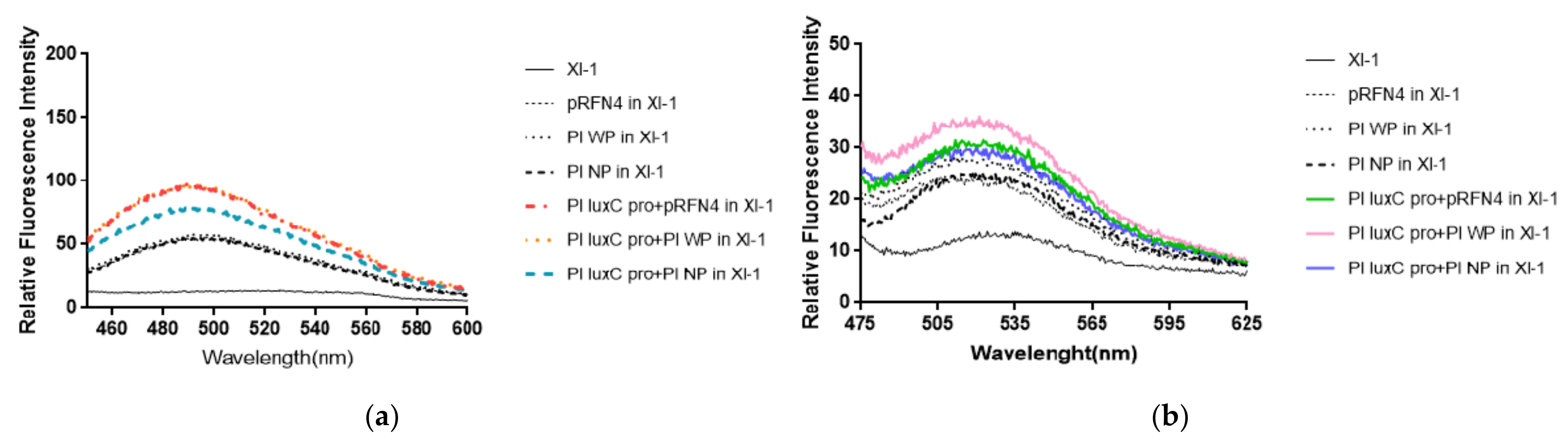 Sensors 21 04506 g005