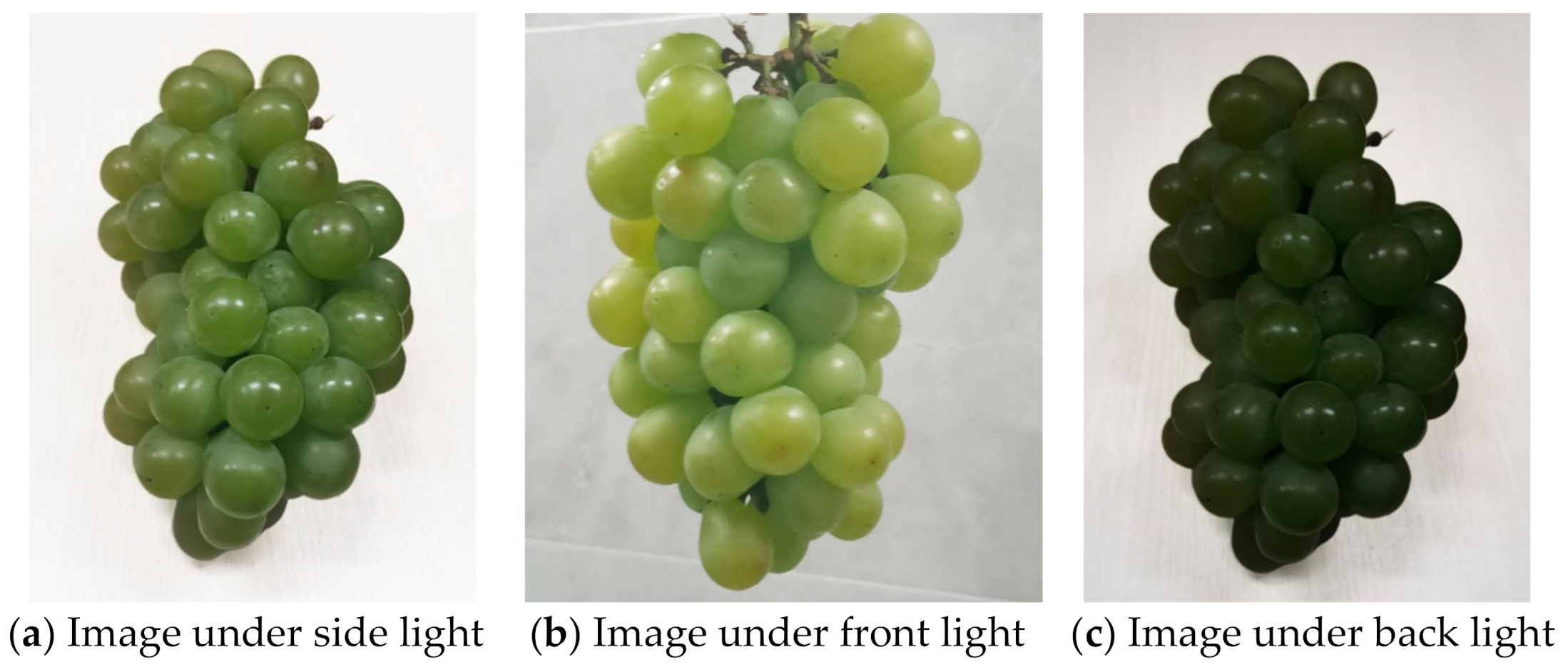 Sensors 21 04532 g006