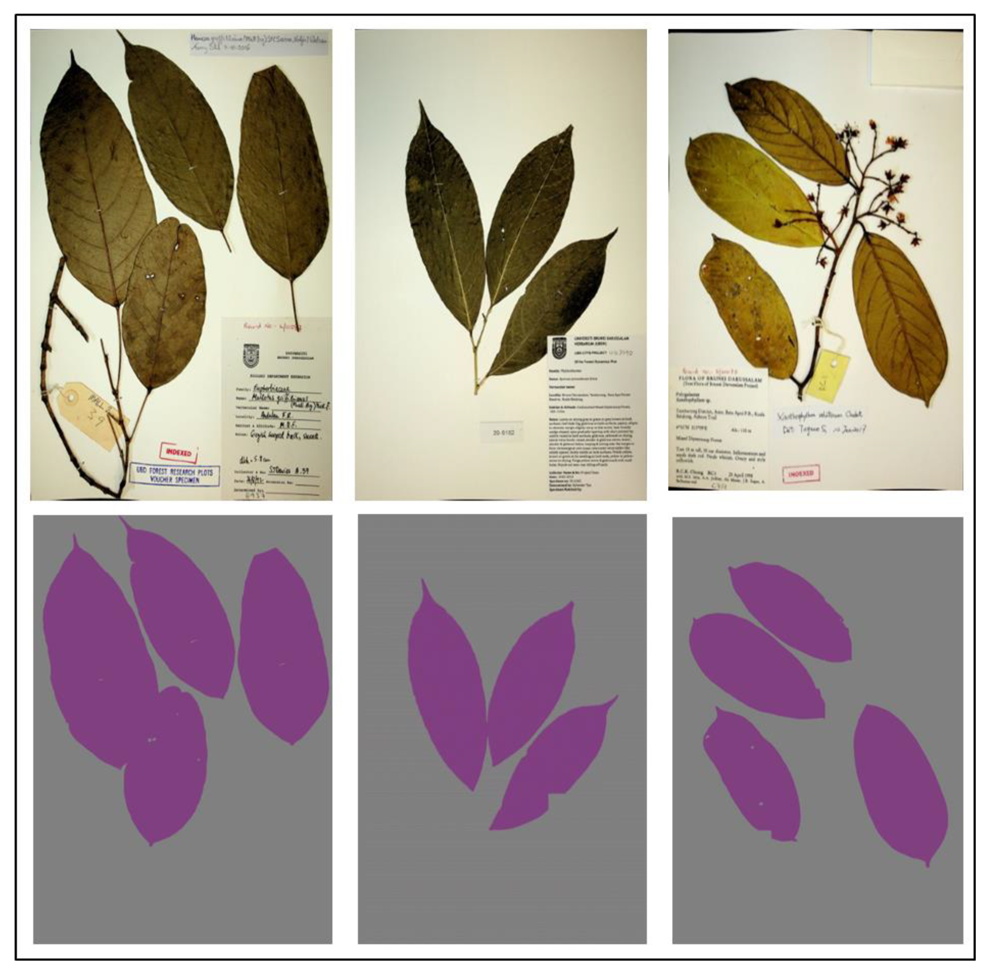 Sensors 21 04549 g003