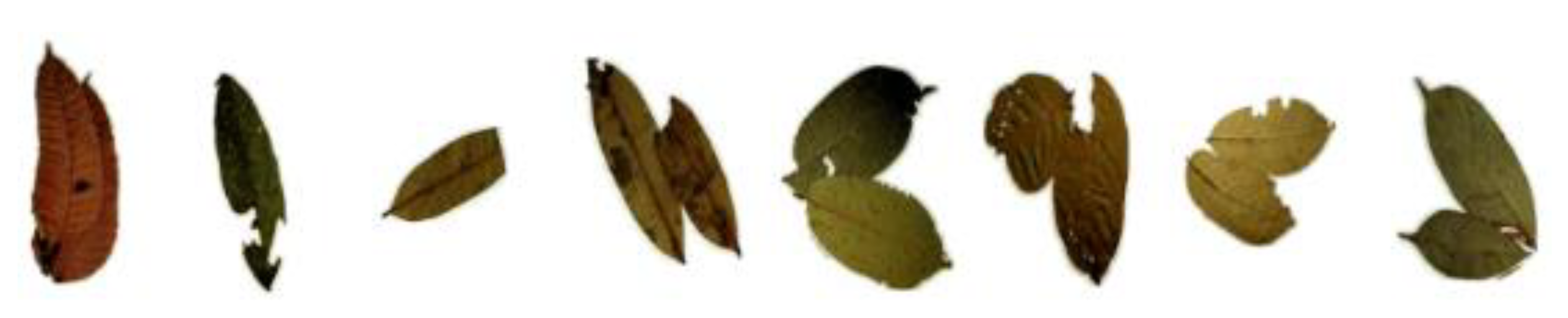 Sensors 21 04549 g004