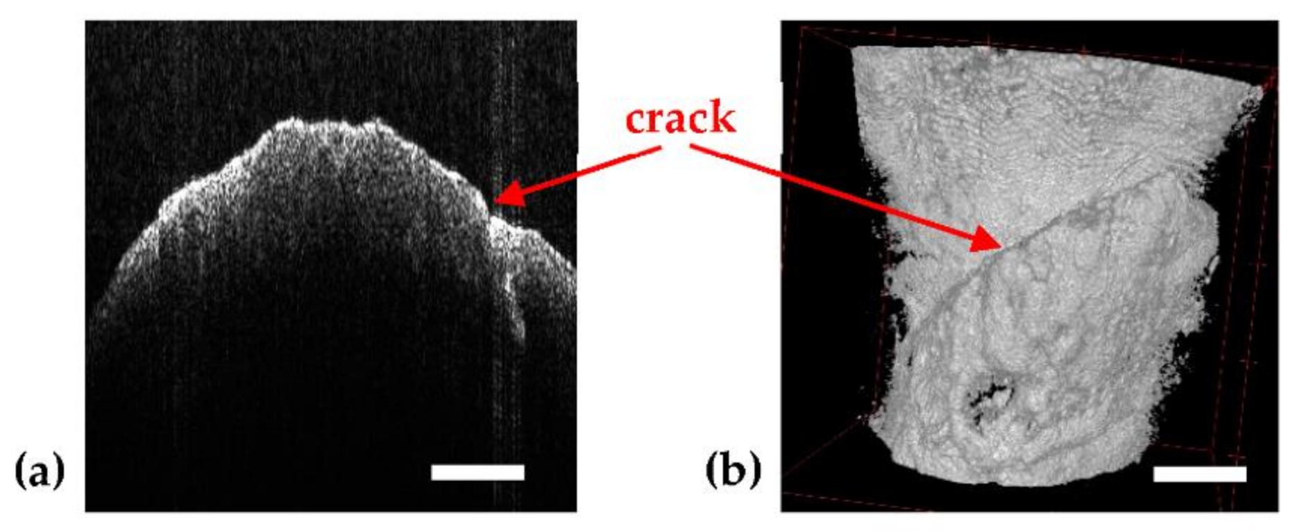 Sensors 21 04554 g003