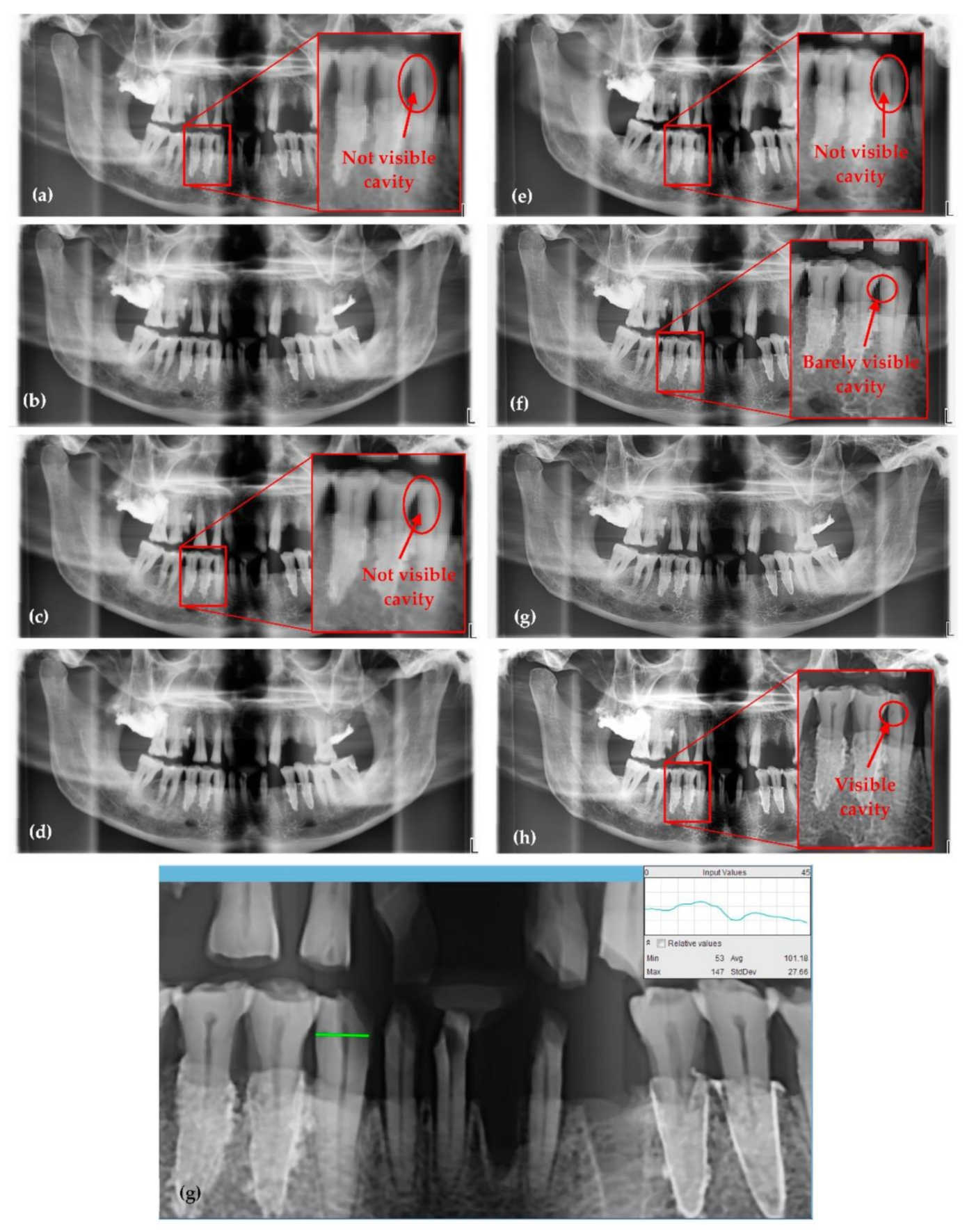 Sensors 21 04554 g008