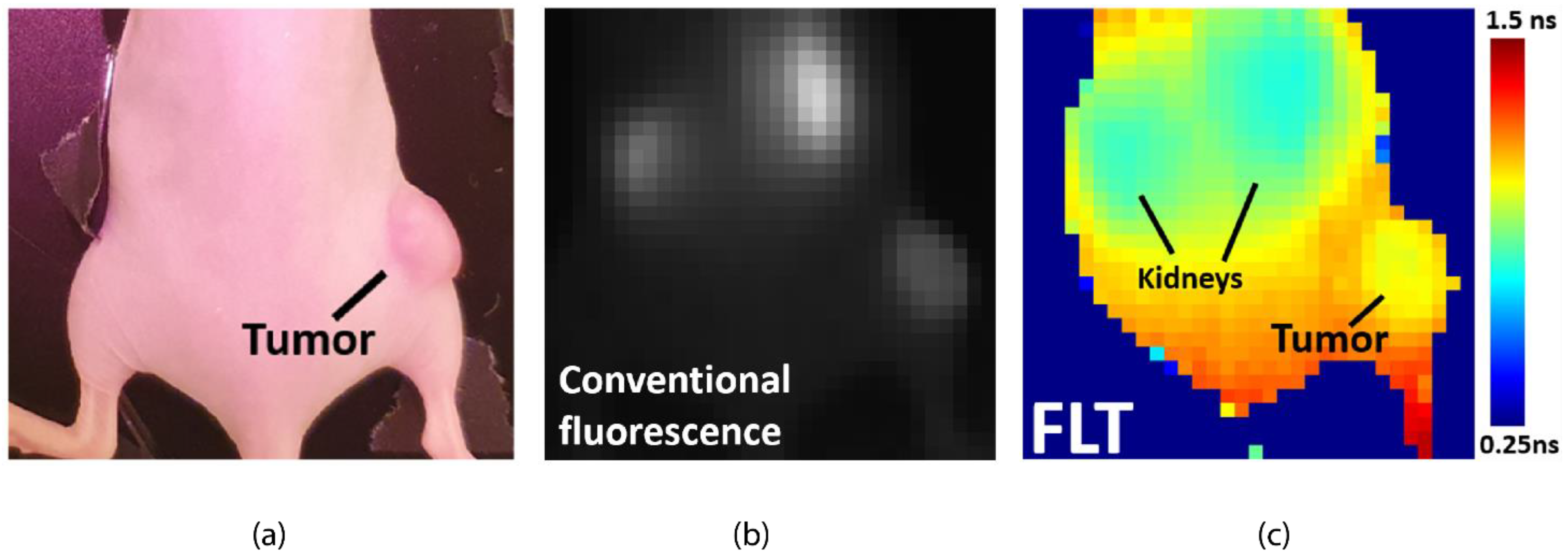 Sensors 21 04576 g018