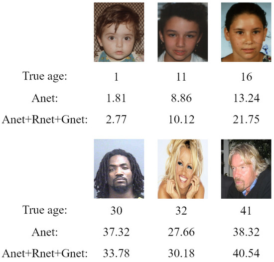 A Multifeature Learning and Fusion Network for Facial Age Estimation
