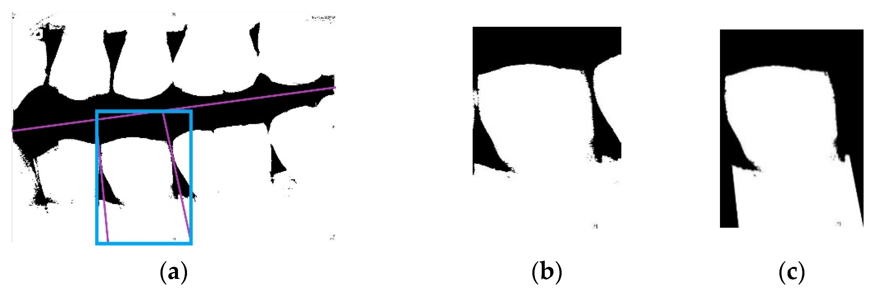 Sensors 21 04613 g005 550
