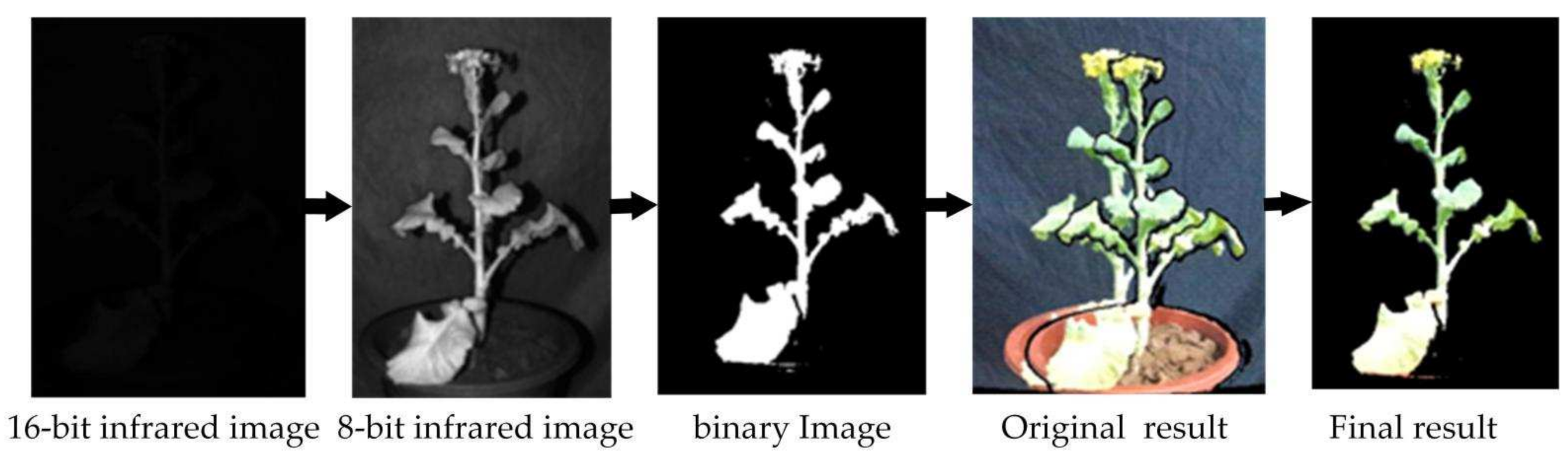 Sensors 21 04628 g003