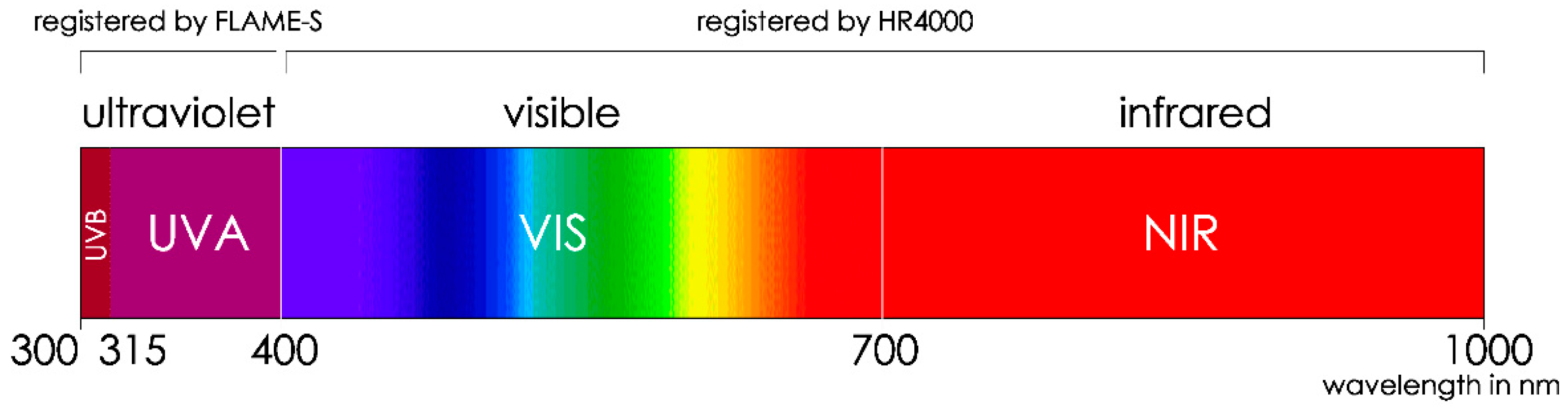 Sensors 21 04651 g004 550