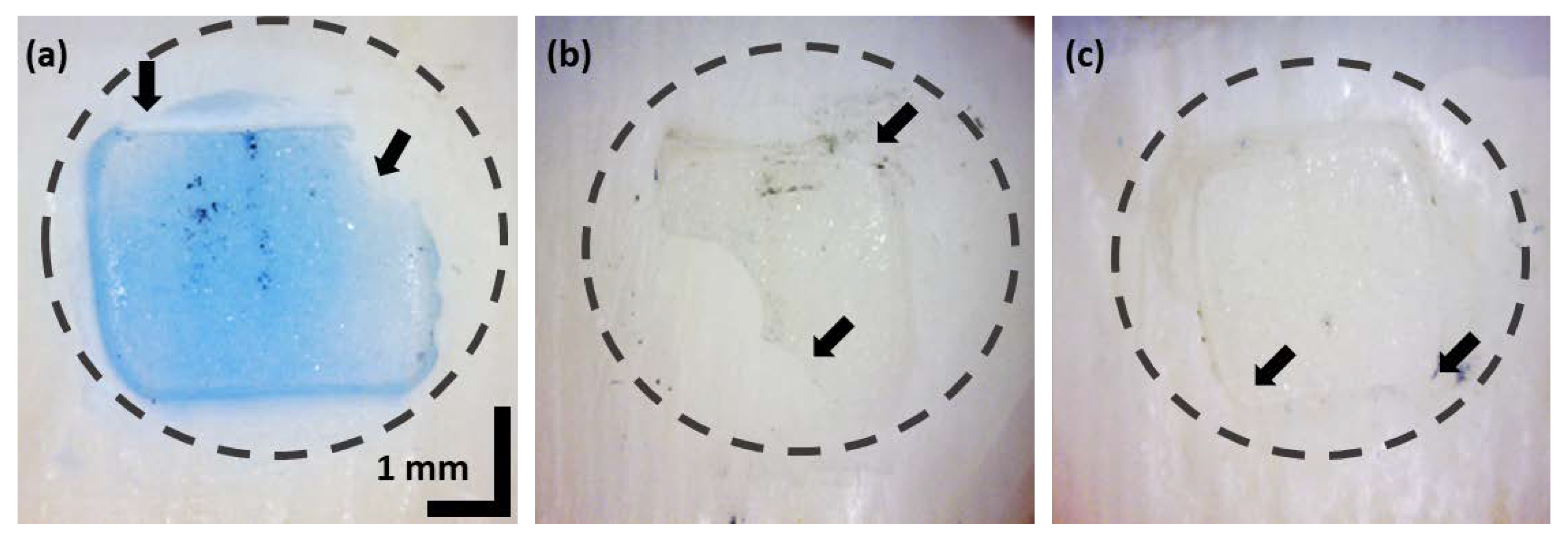 Sensors 21 04670 g001 Sensors 21 04670 g001