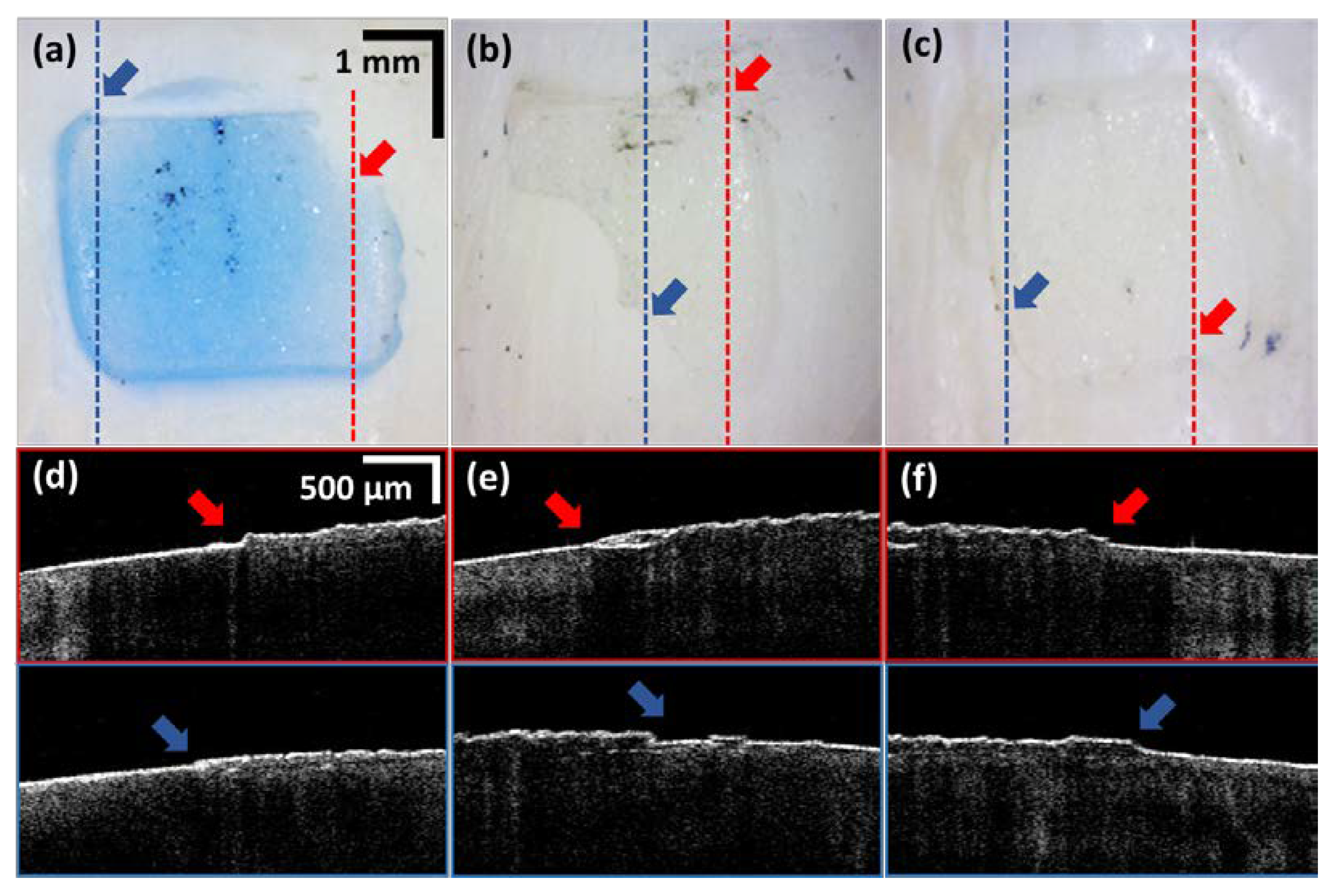Sensors 21 04670 g004 Sensors 21 04670 g004