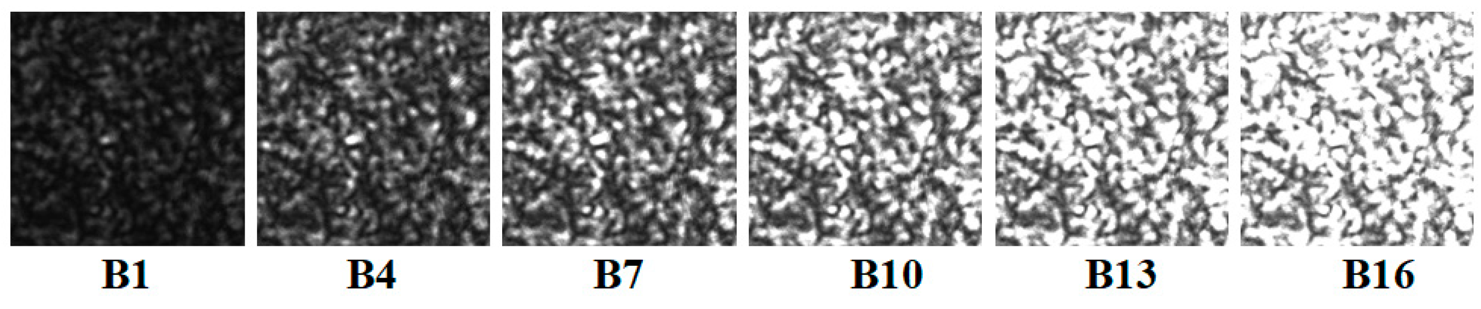 Sensors 21 04728 g008 550