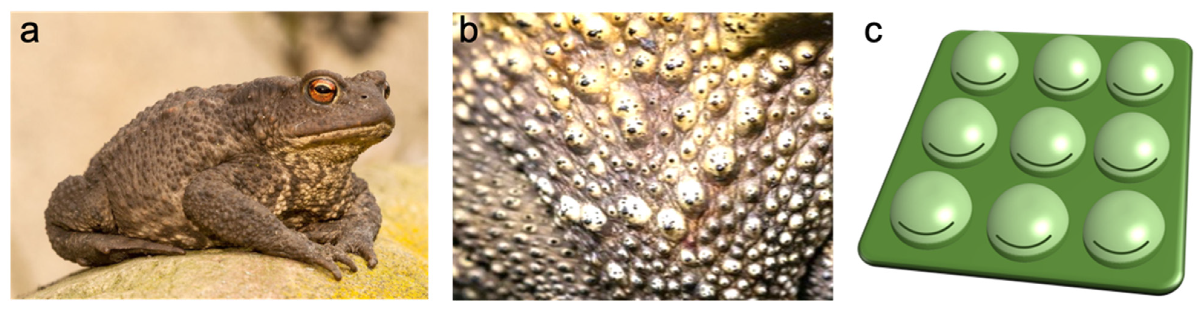 Sensors 21 04732 g001 Sensors 21 04732 g001