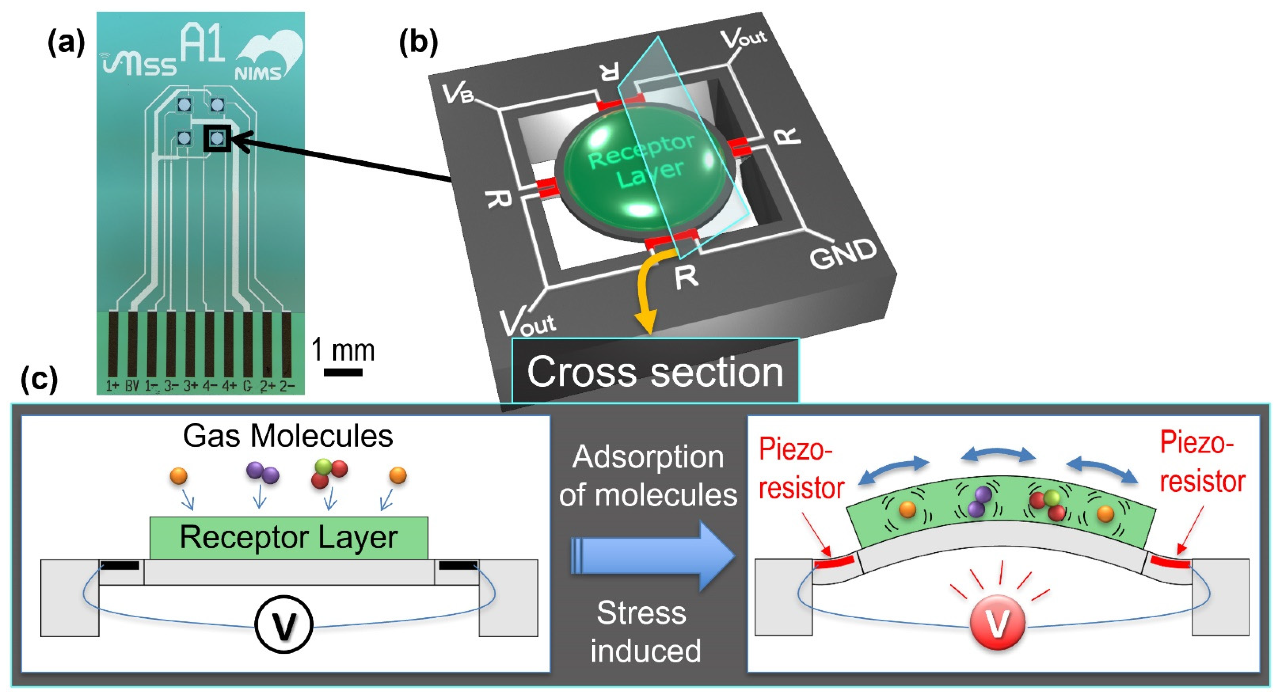 Sensors 21 04742 g002