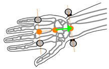 Sensors 21 04799 i004