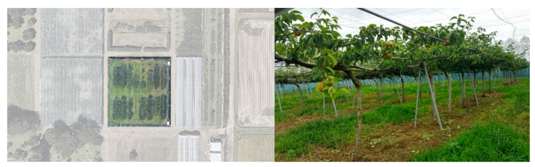 Sensors 21 04803 g003 550