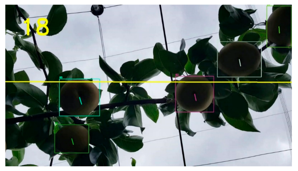 Sensors 21 04803 g012 550