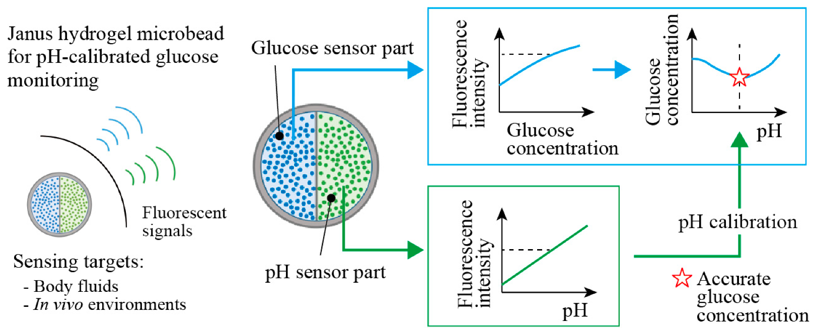Sensors 21 04829 g001 550