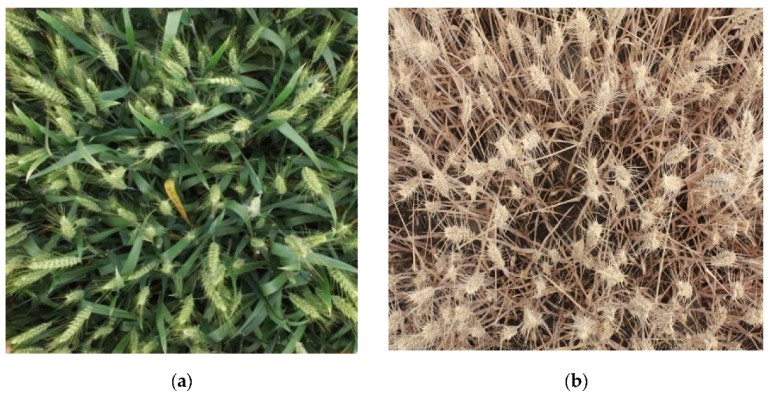 Sensors 21 04845 g002