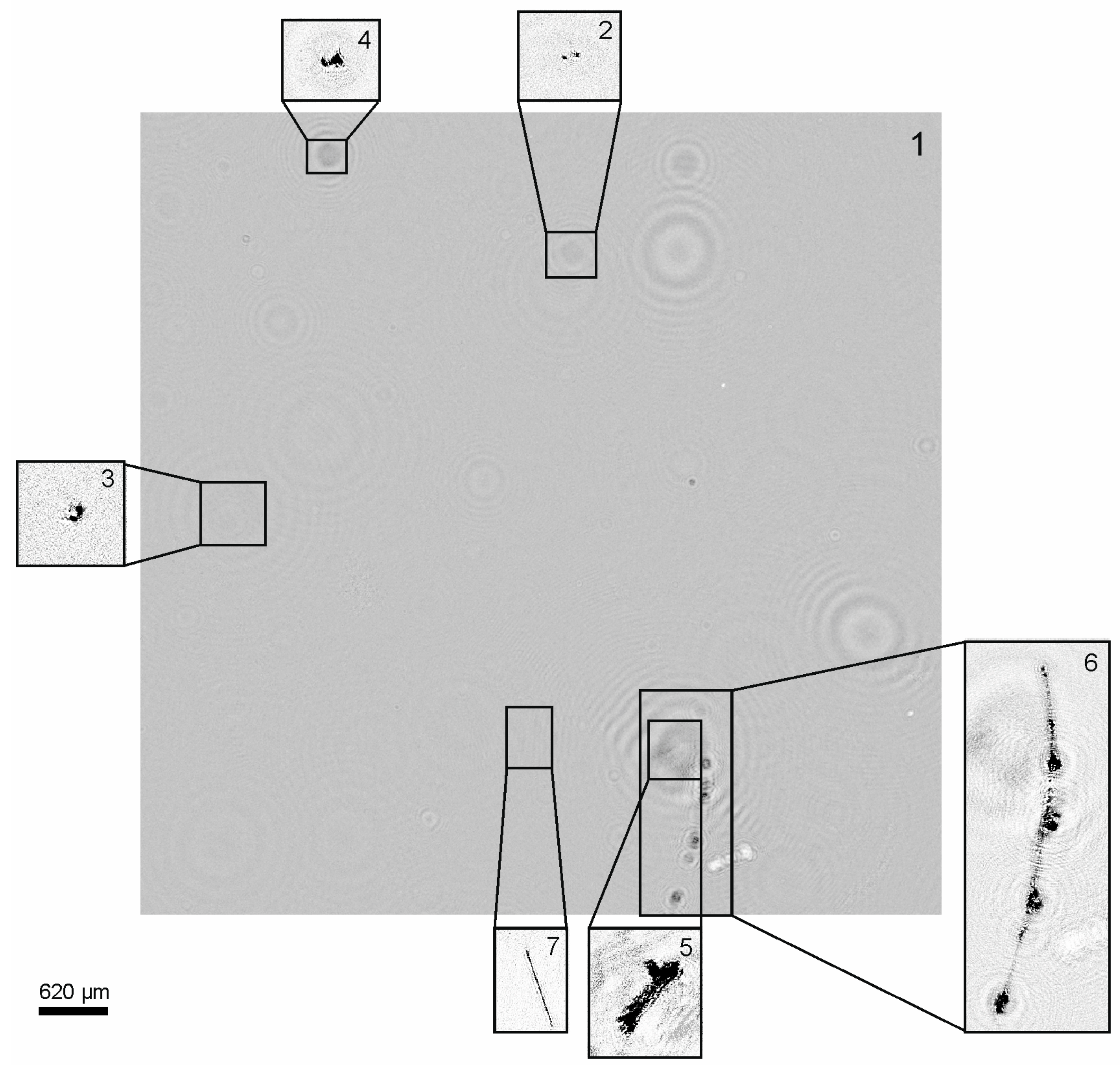Sensors 21 04863 g009