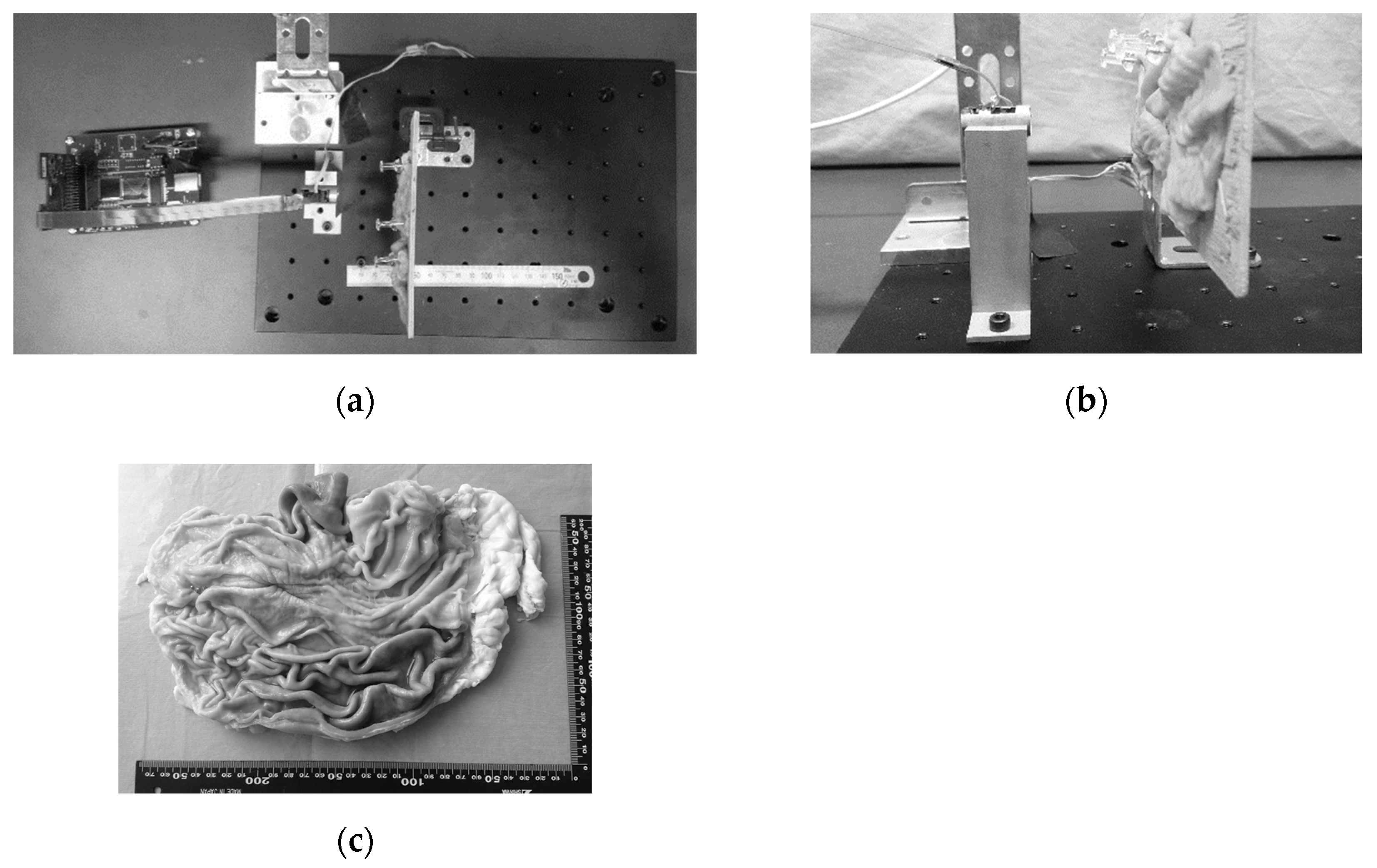 Sensors 21 04887 g005 550