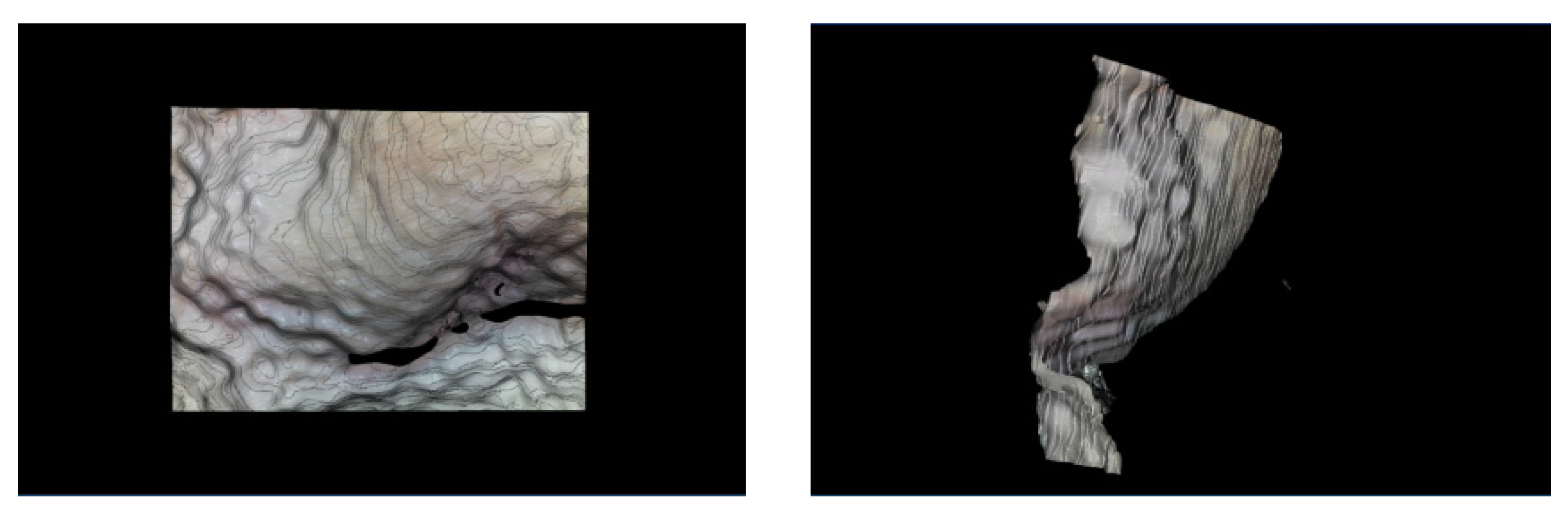 Sensors 21 04887 g009 550