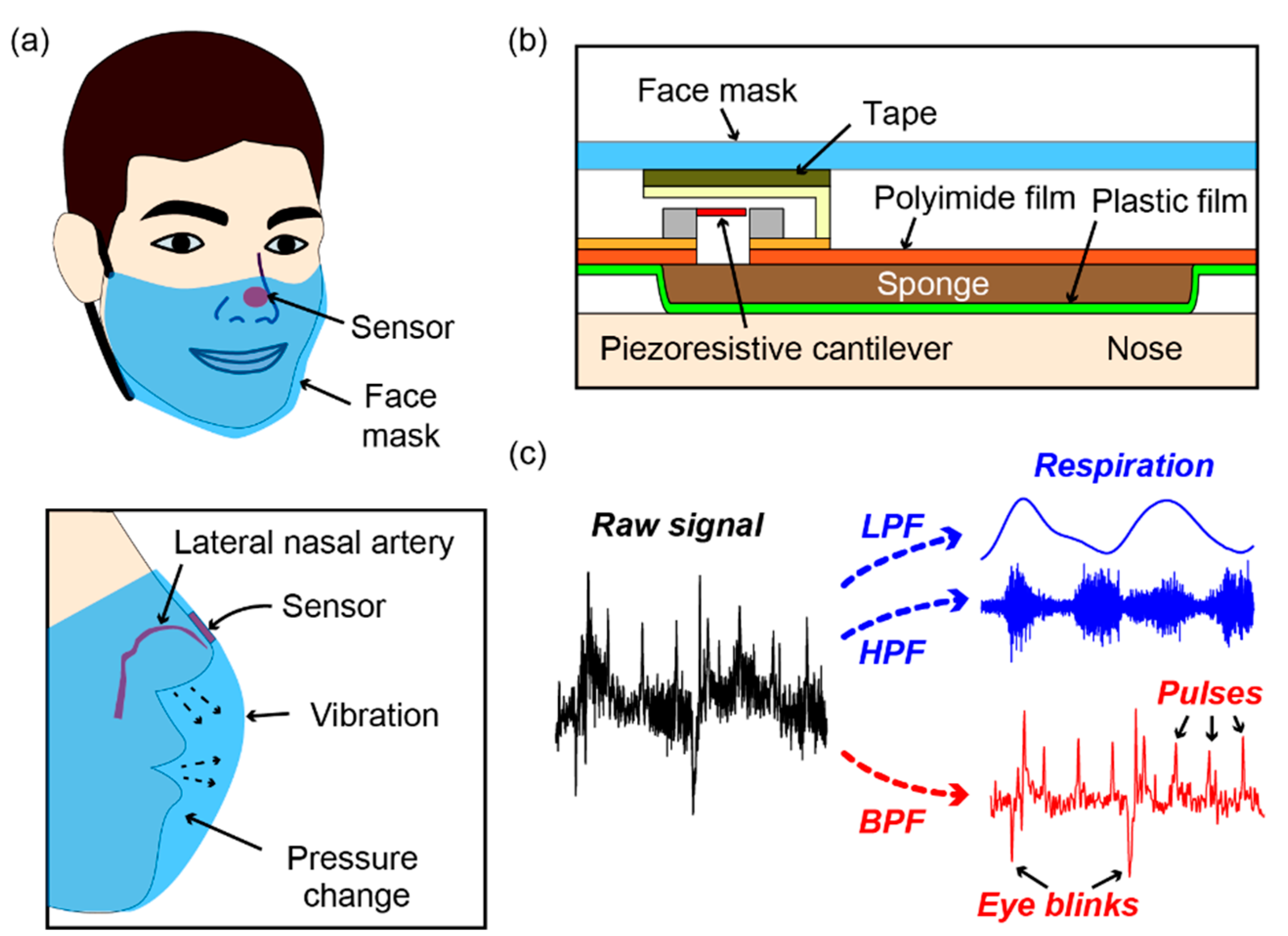 Sensors 21 04895 g001