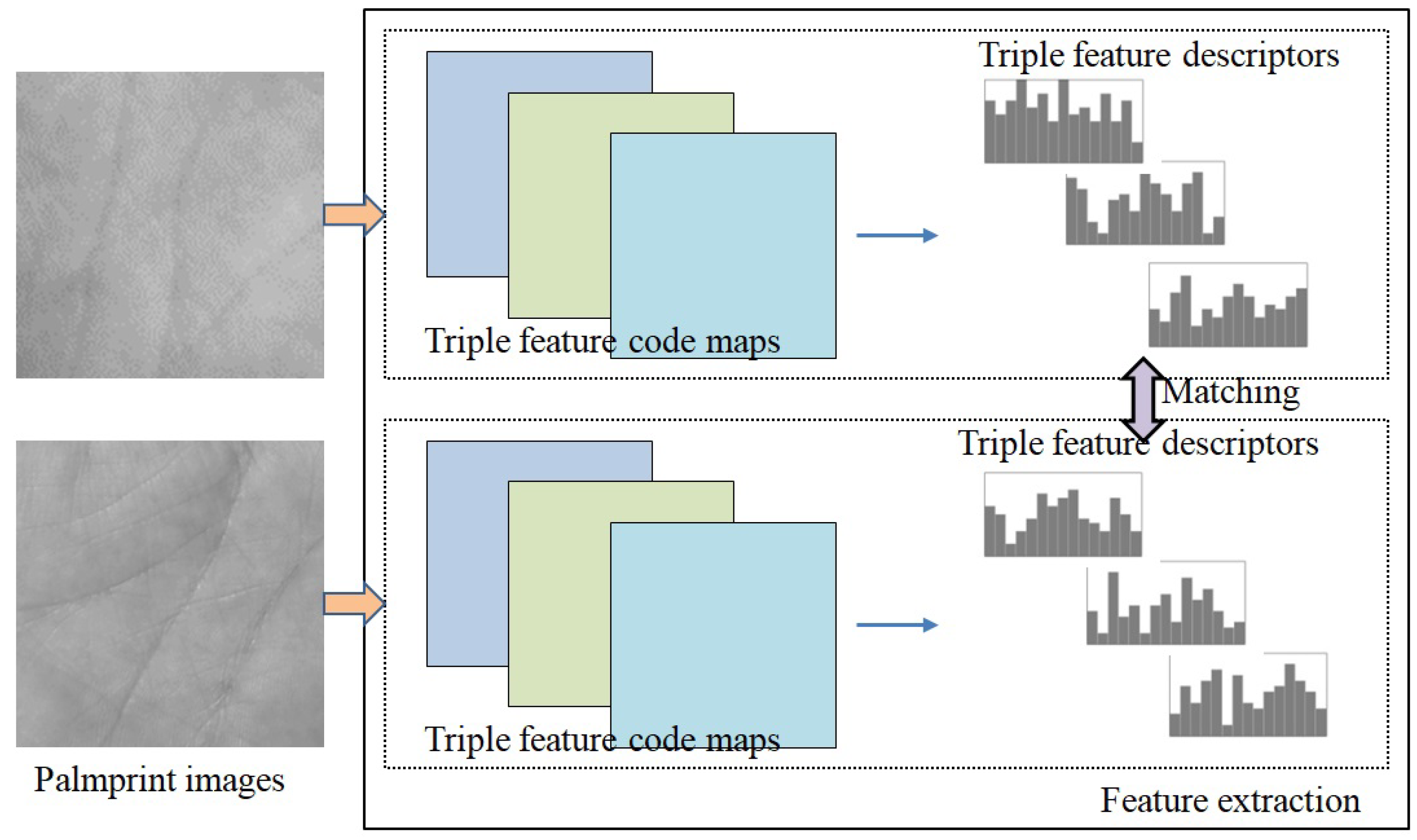 Texture Gradient Psychology Example