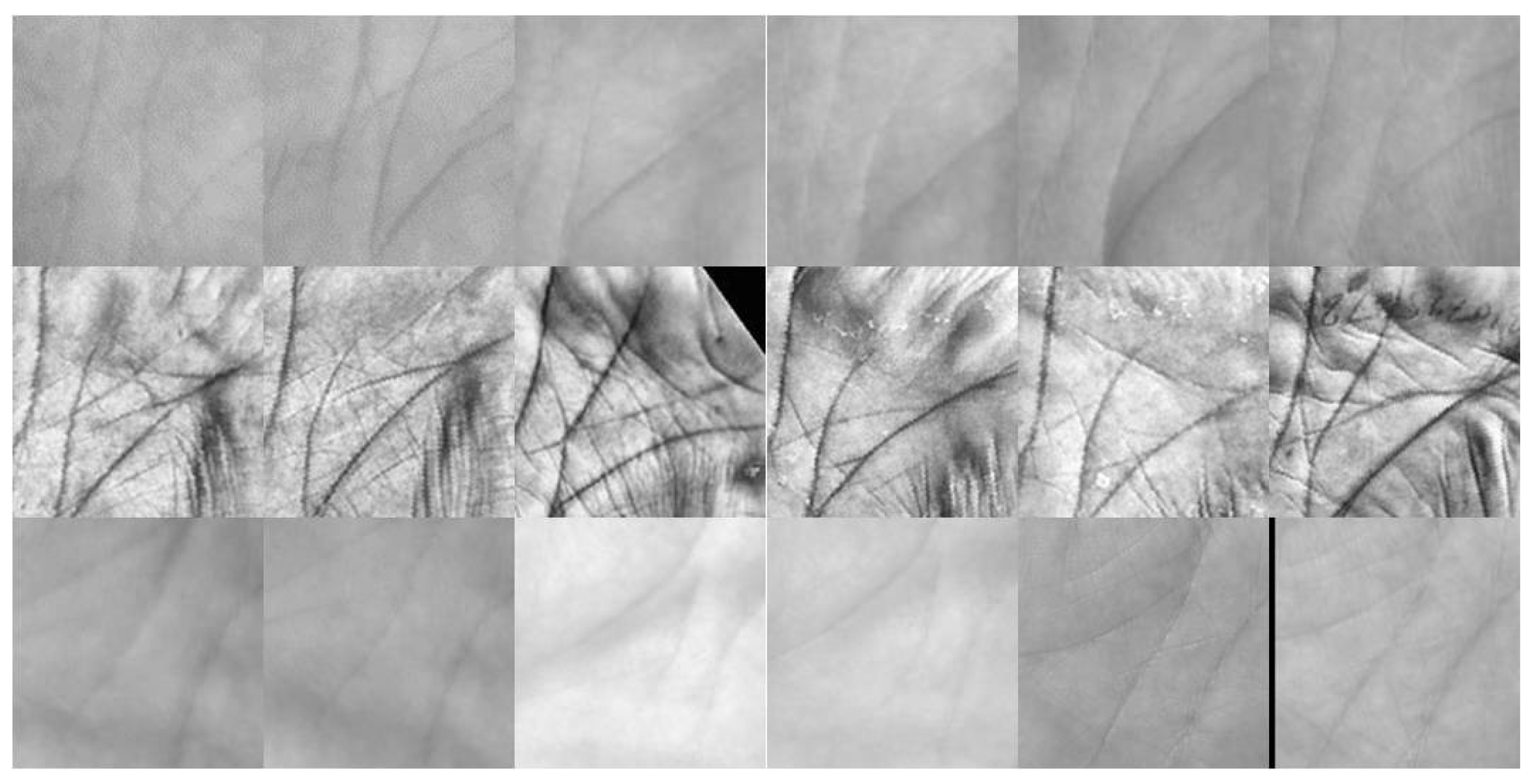 Sensors 21 04896 g005 550